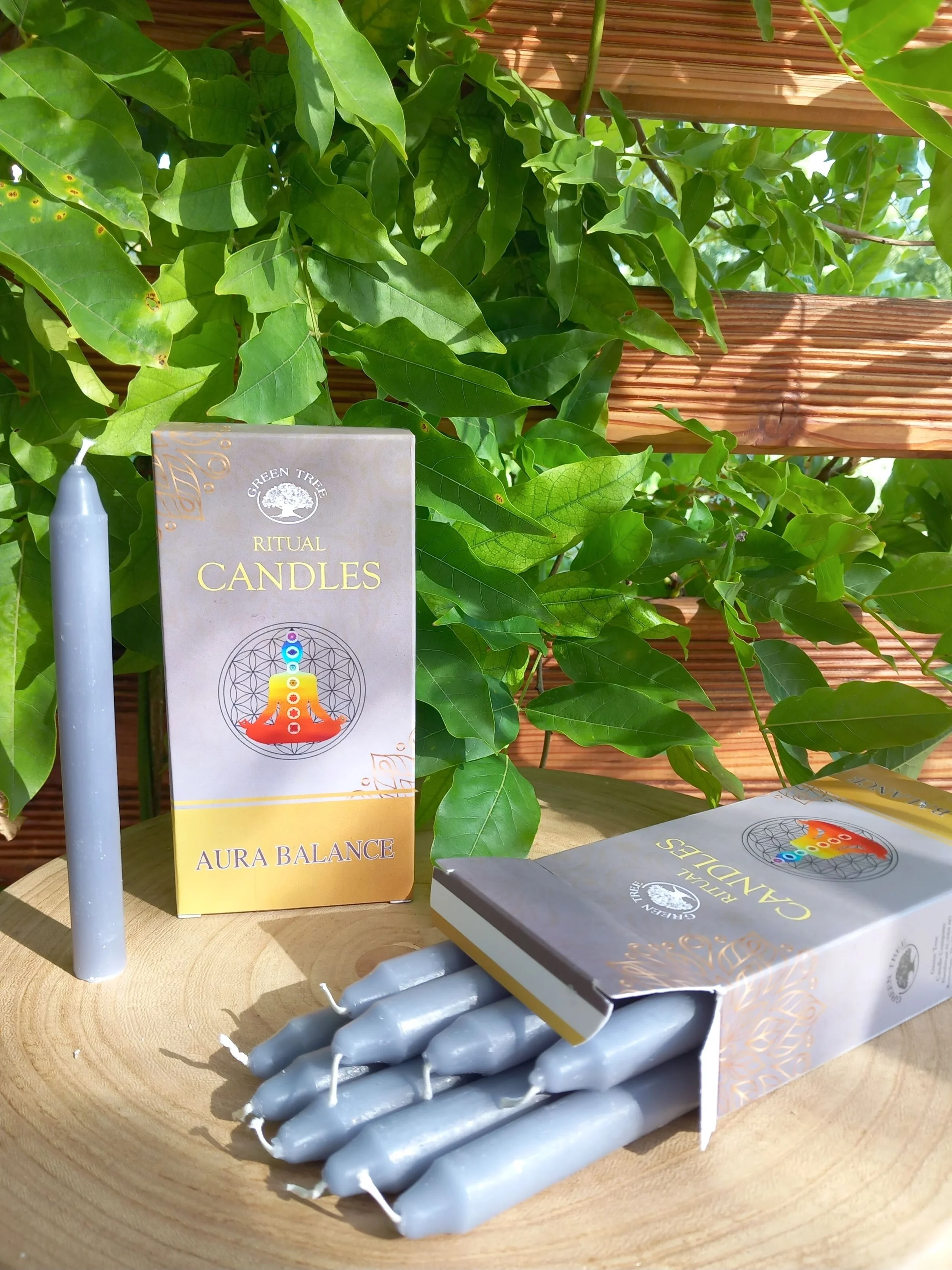 Bougies alignement aura Green Tree Gris