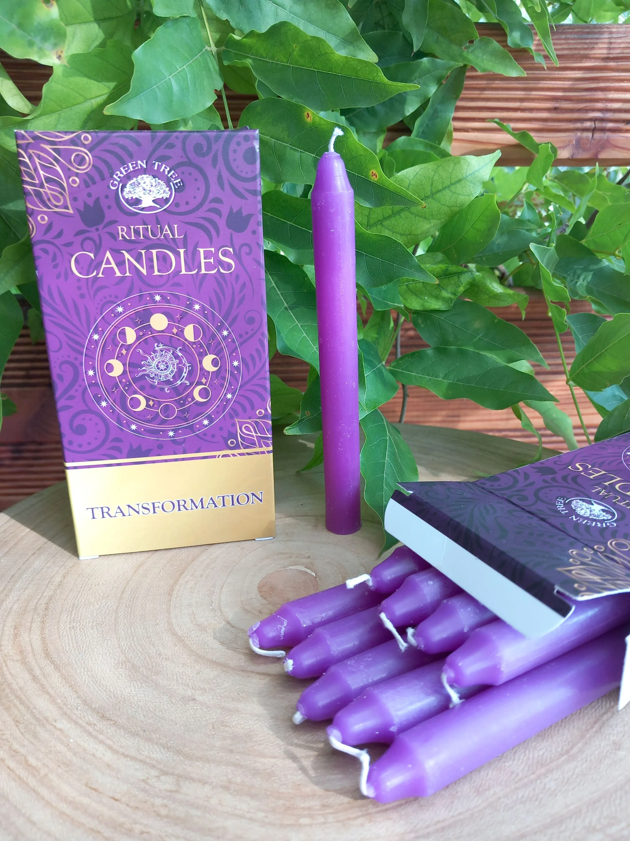 Bougies Transformation Green Tree Mauve