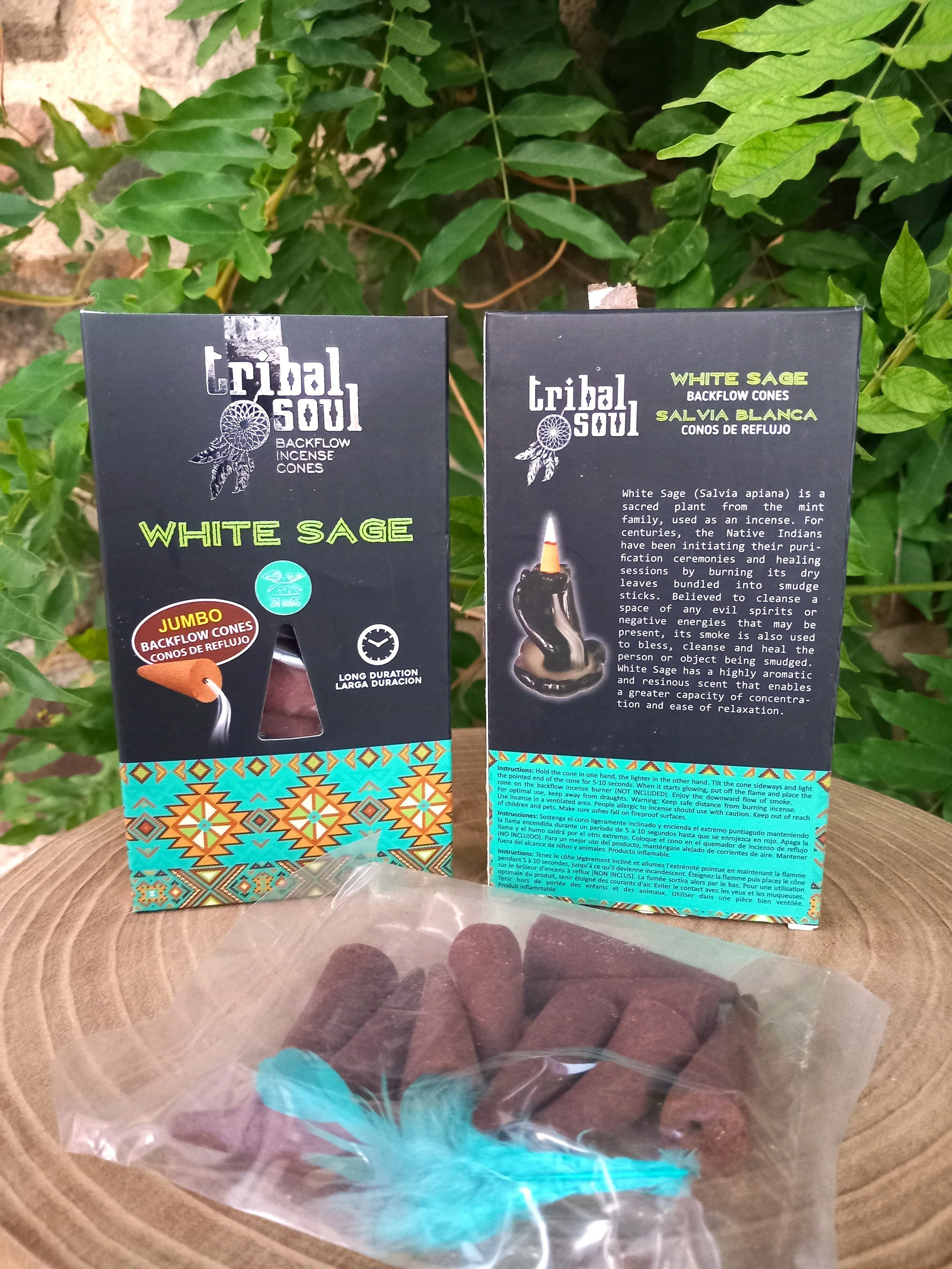 White Sage - Sauge Blanche -Blackflow Cônes - Tribal Soul