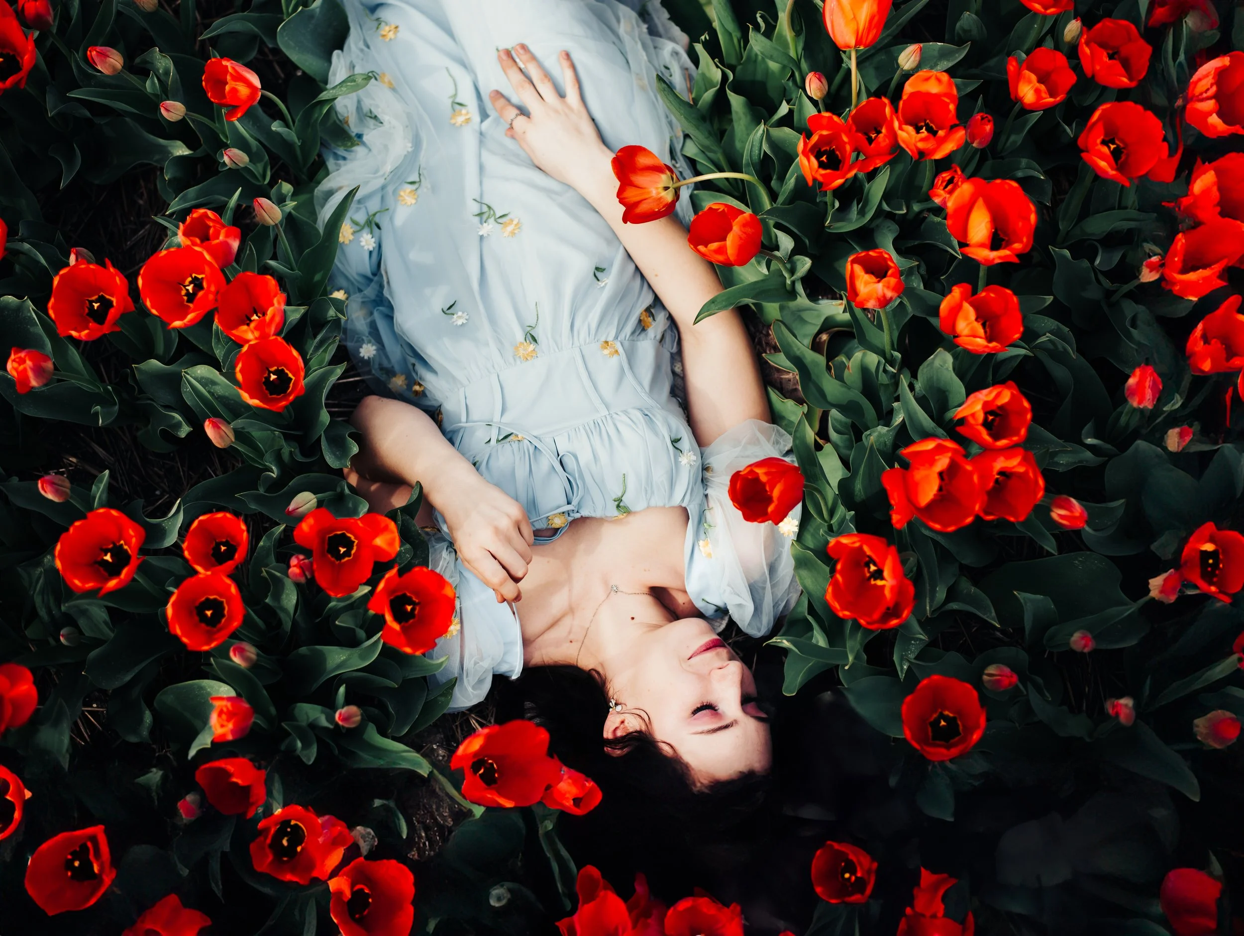 Tulip-06.jpg