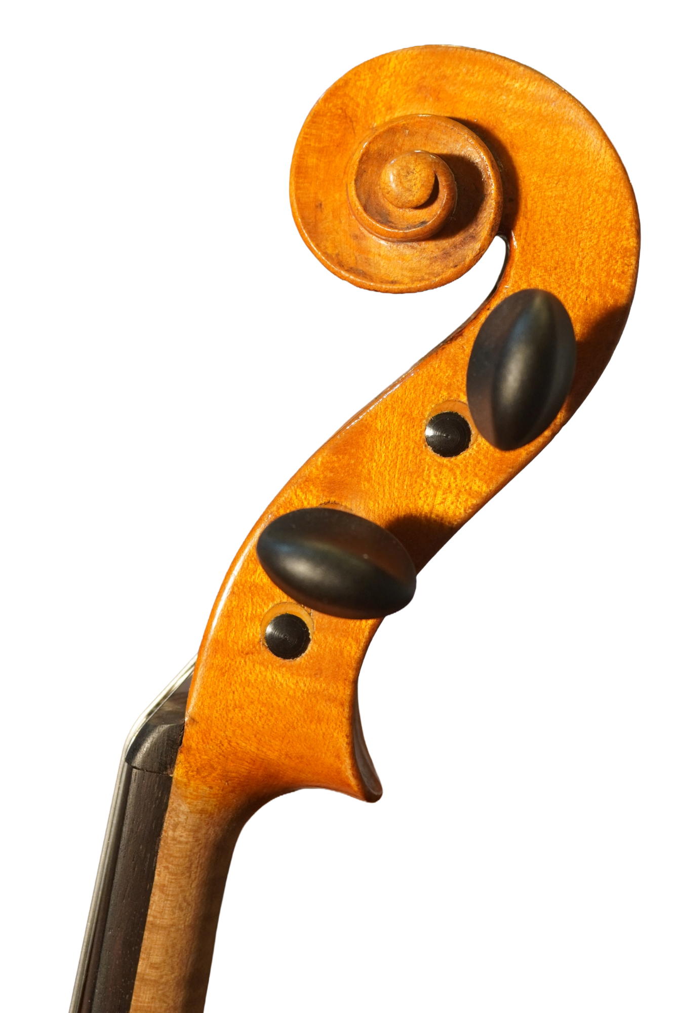 64593S.png