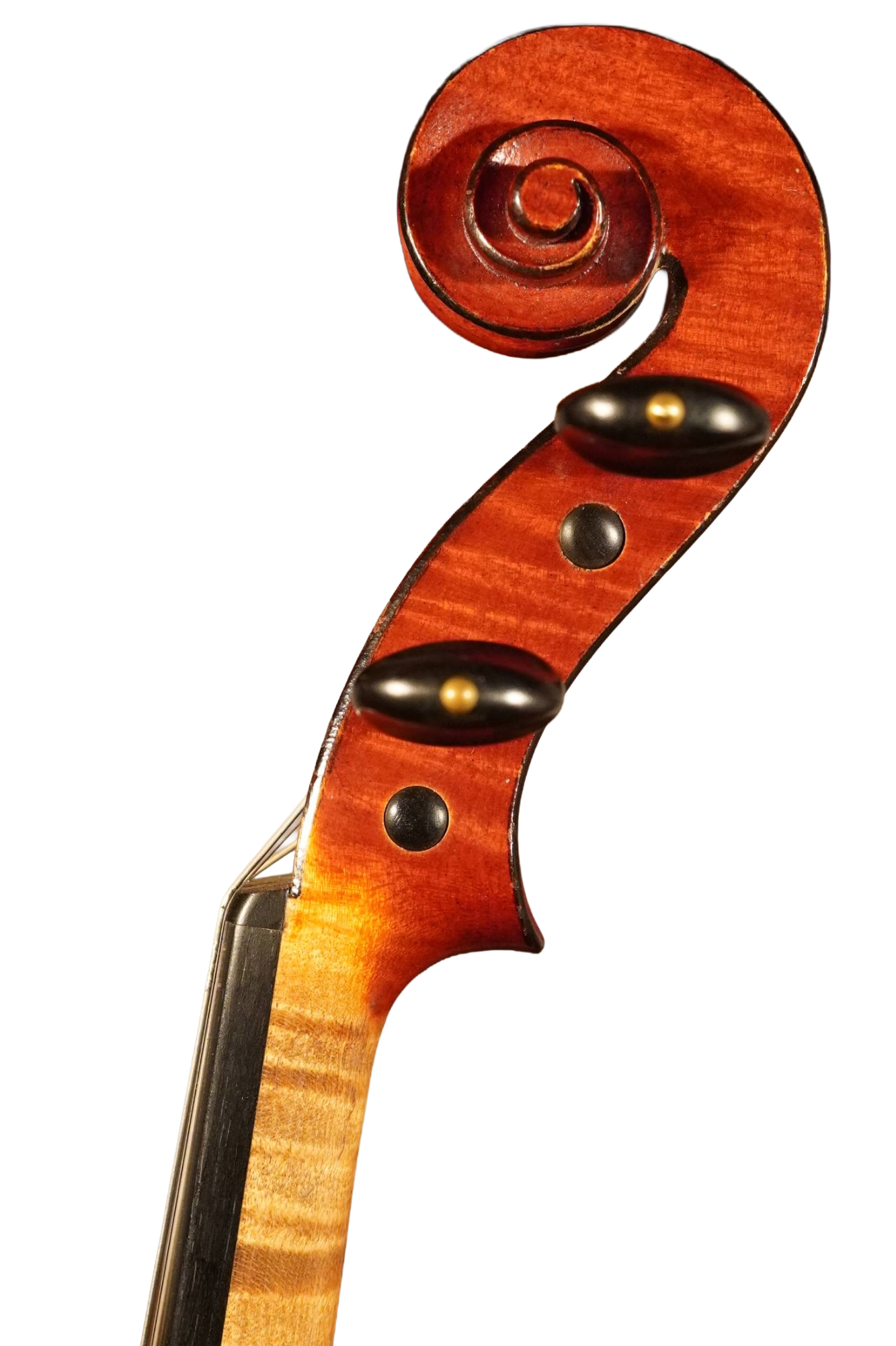 34799S.JPG