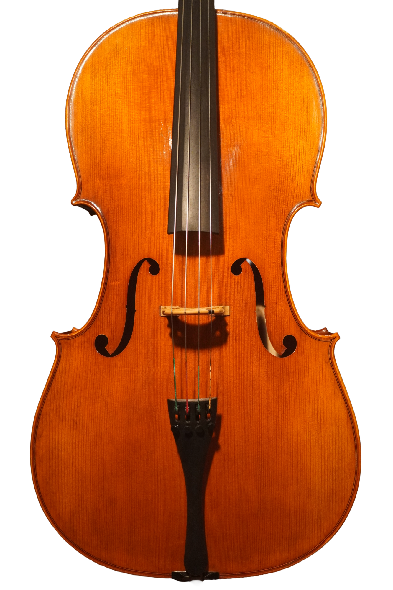 46267F.JPG