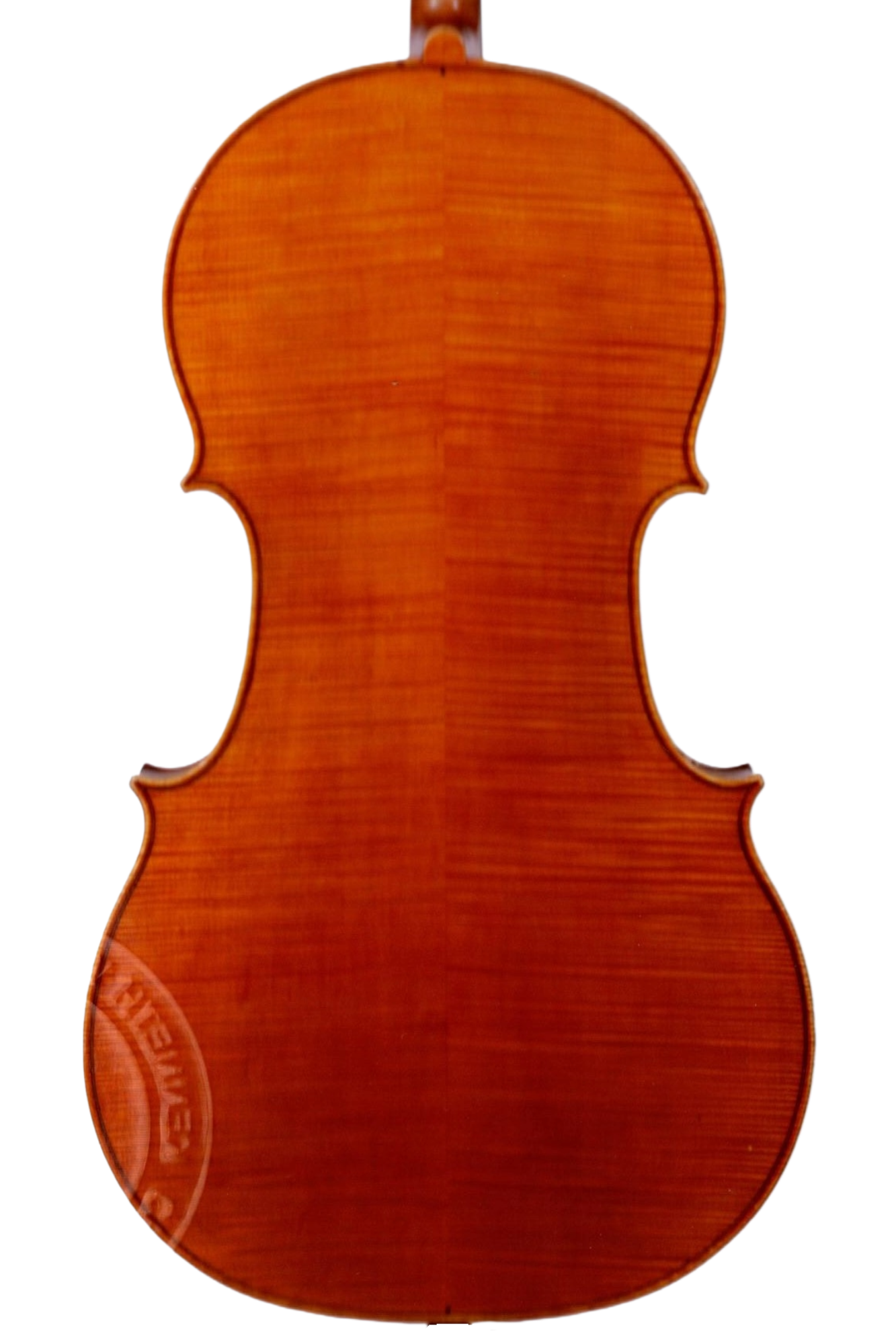 Pedrazzini 1947, 36981 pg2 warrenback.png