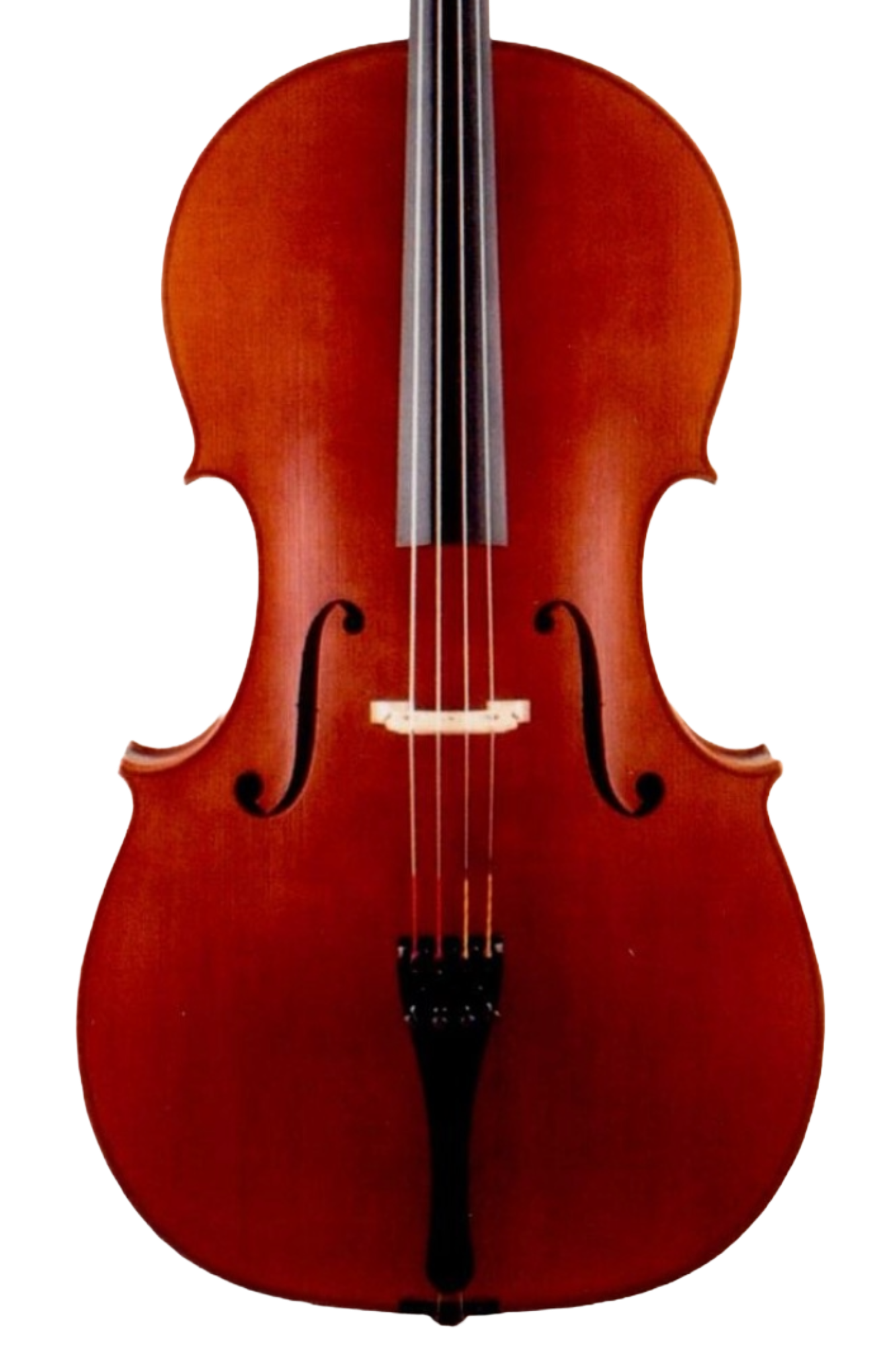 Wolfgang Schnabl 2002