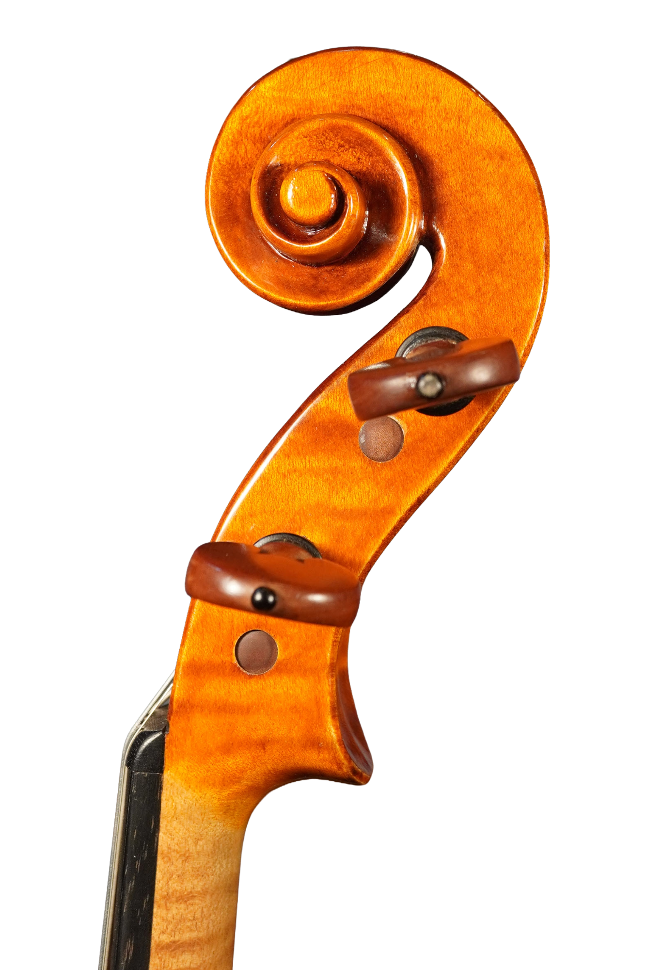 64621S.png