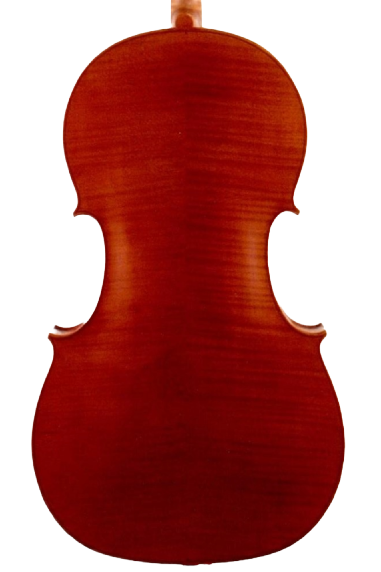 46198 schnable back.png