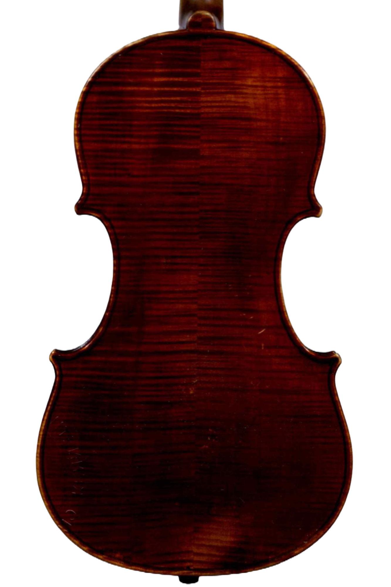 L. Azzola 54562B.png