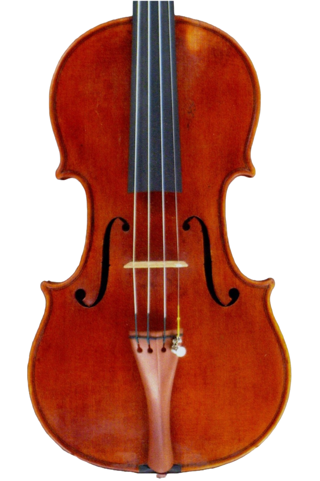 Marcello Bellei 2008