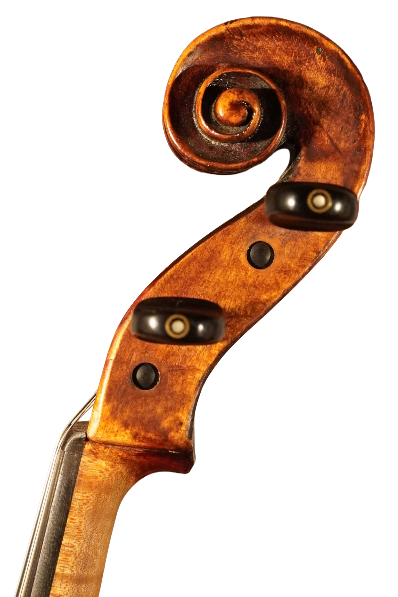 15516S.JPG