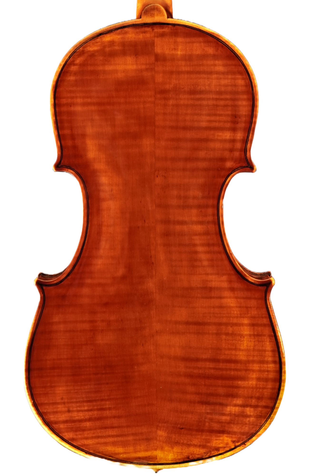 william Robinson 1931 Back.png