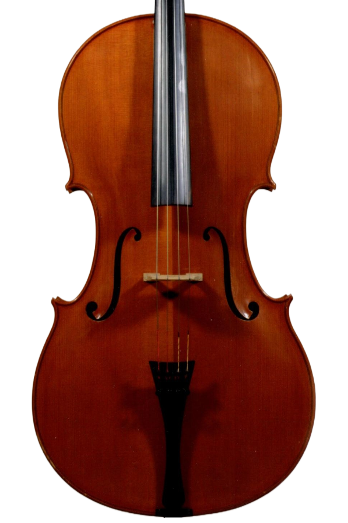 Felice Vittozzi 1986