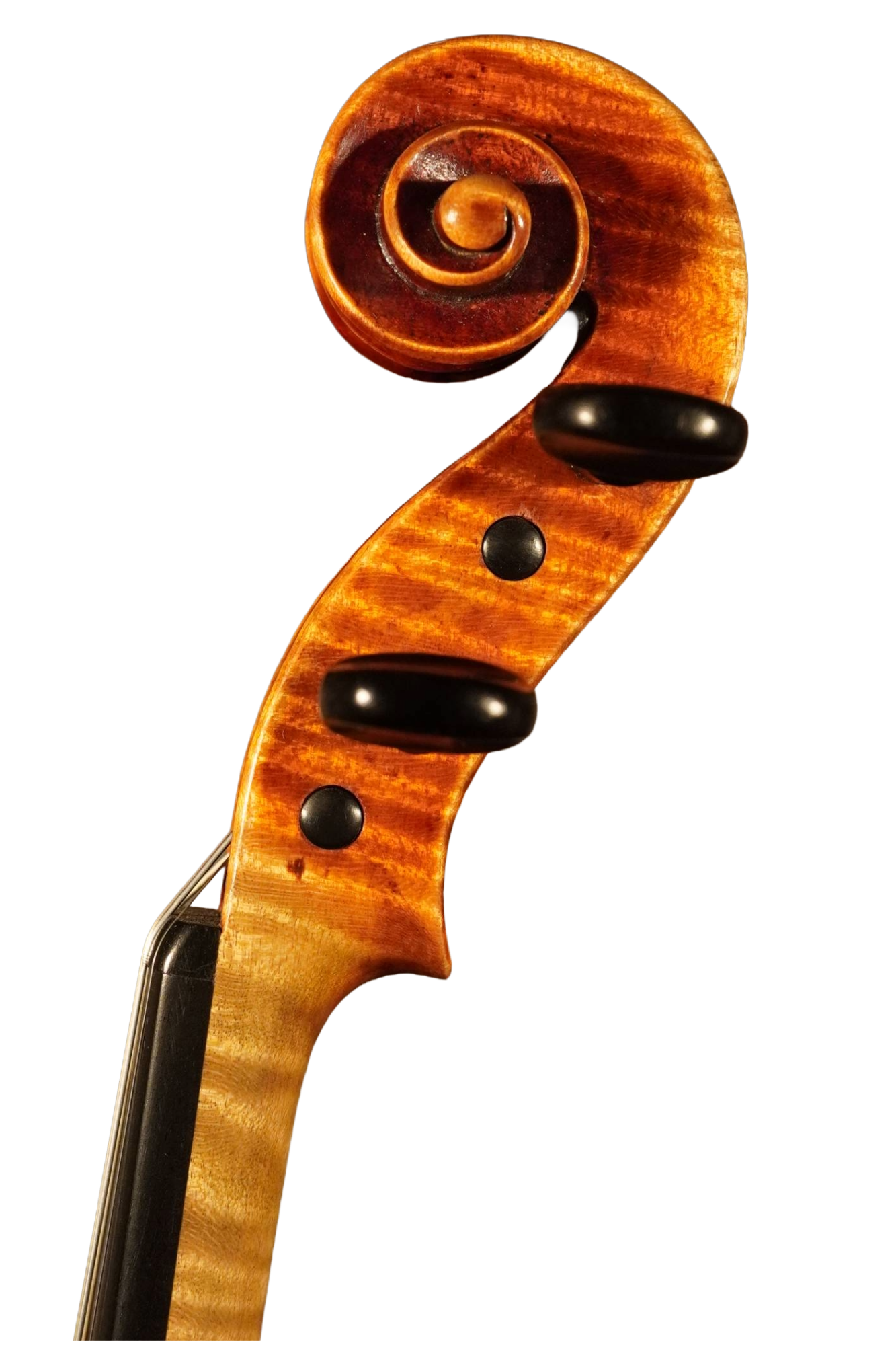 34164S.JPG