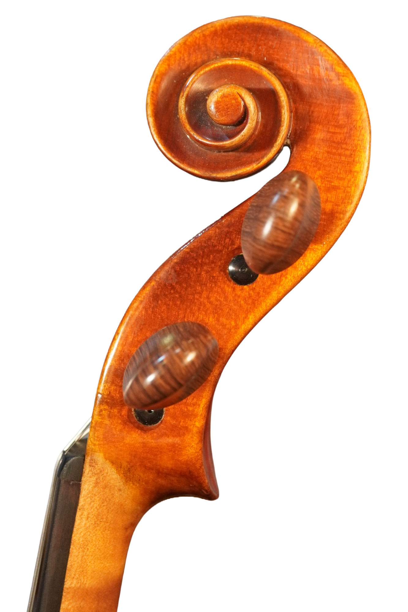 C. Magrini 1984S.png