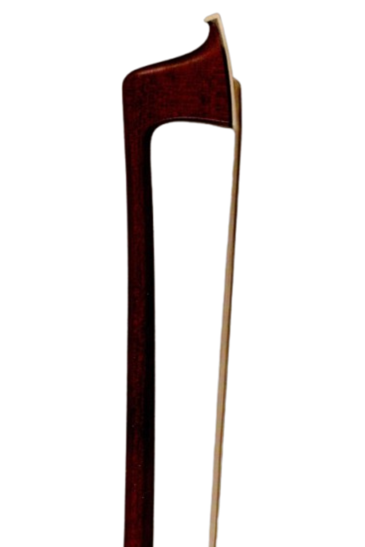 Roger Francois Lotte