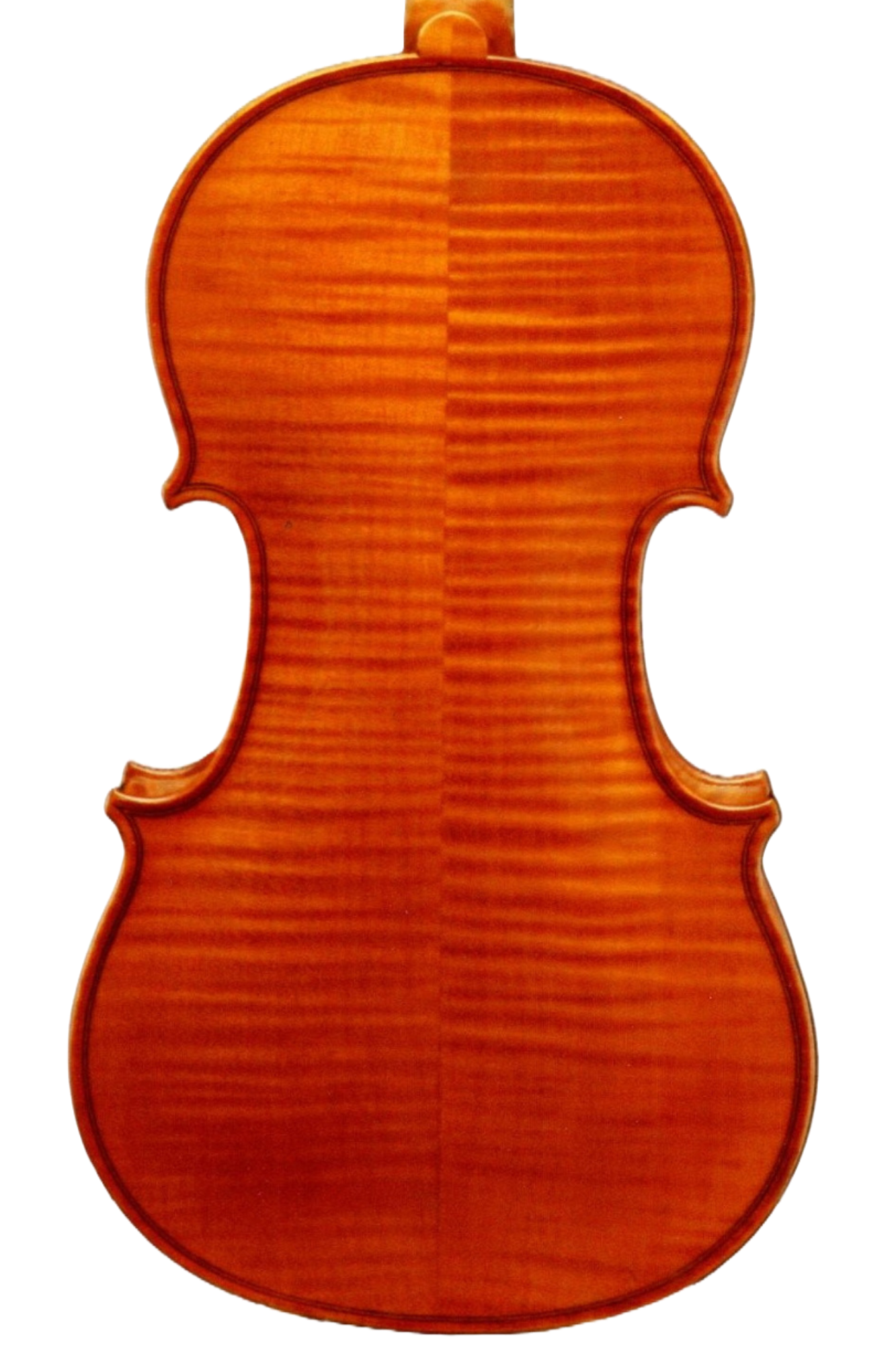 Bruno Barbari 1976 64428B.png