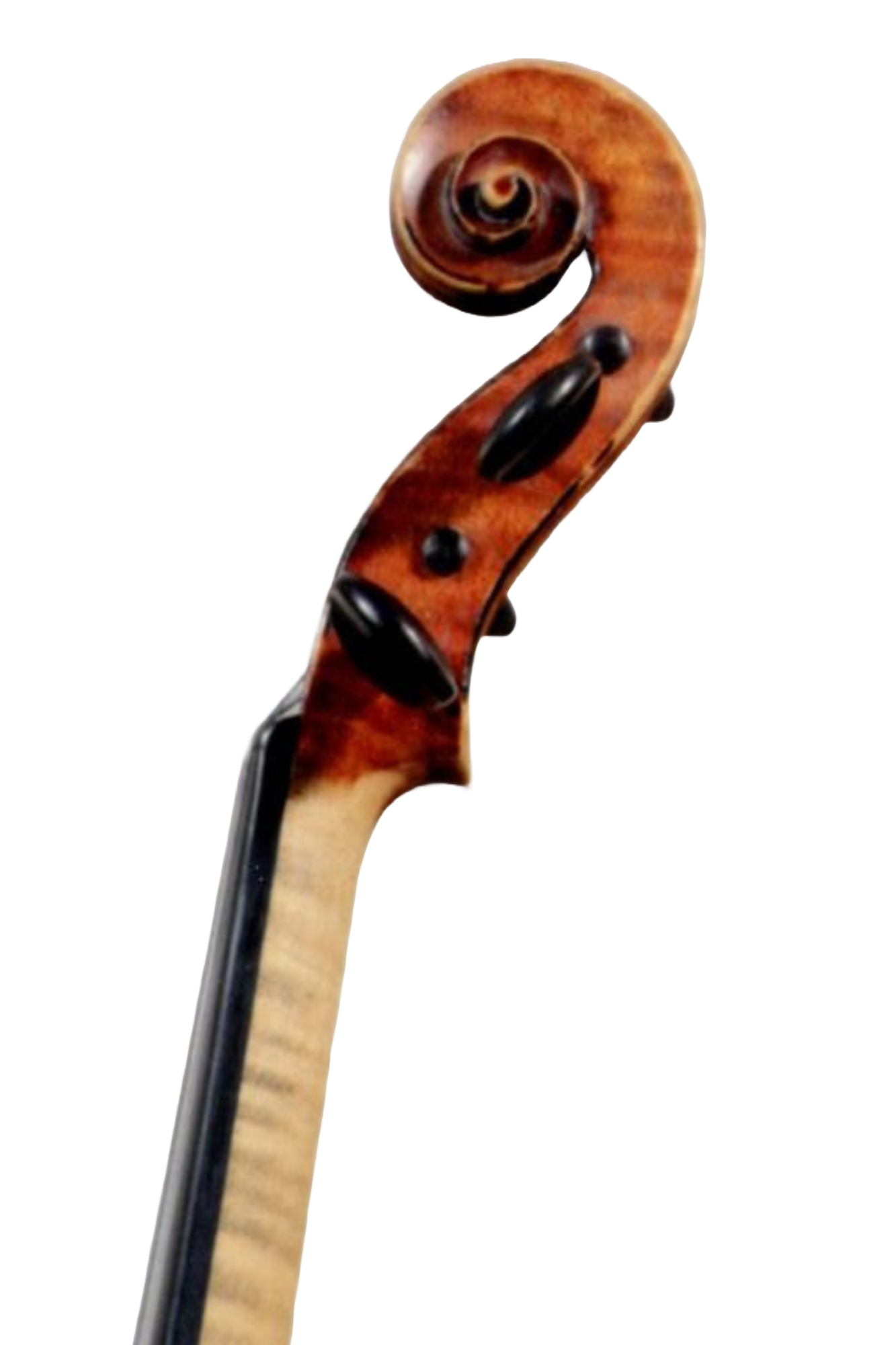 George Ullmann 1904 64346S.png