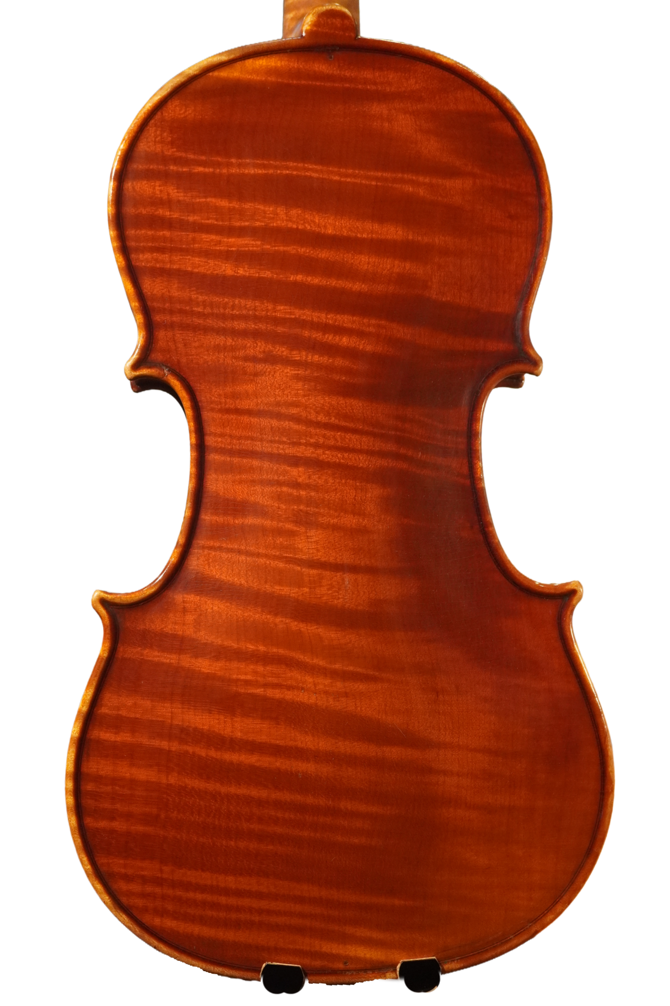 C. Magrini 1984B.png