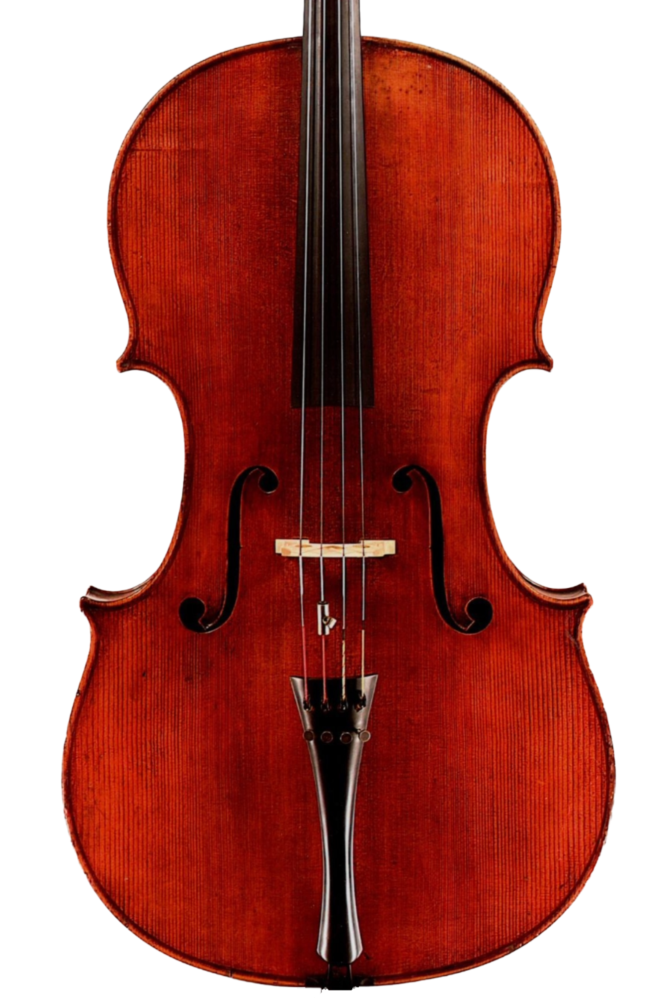 Wilhelm Thomas Jaura 1898