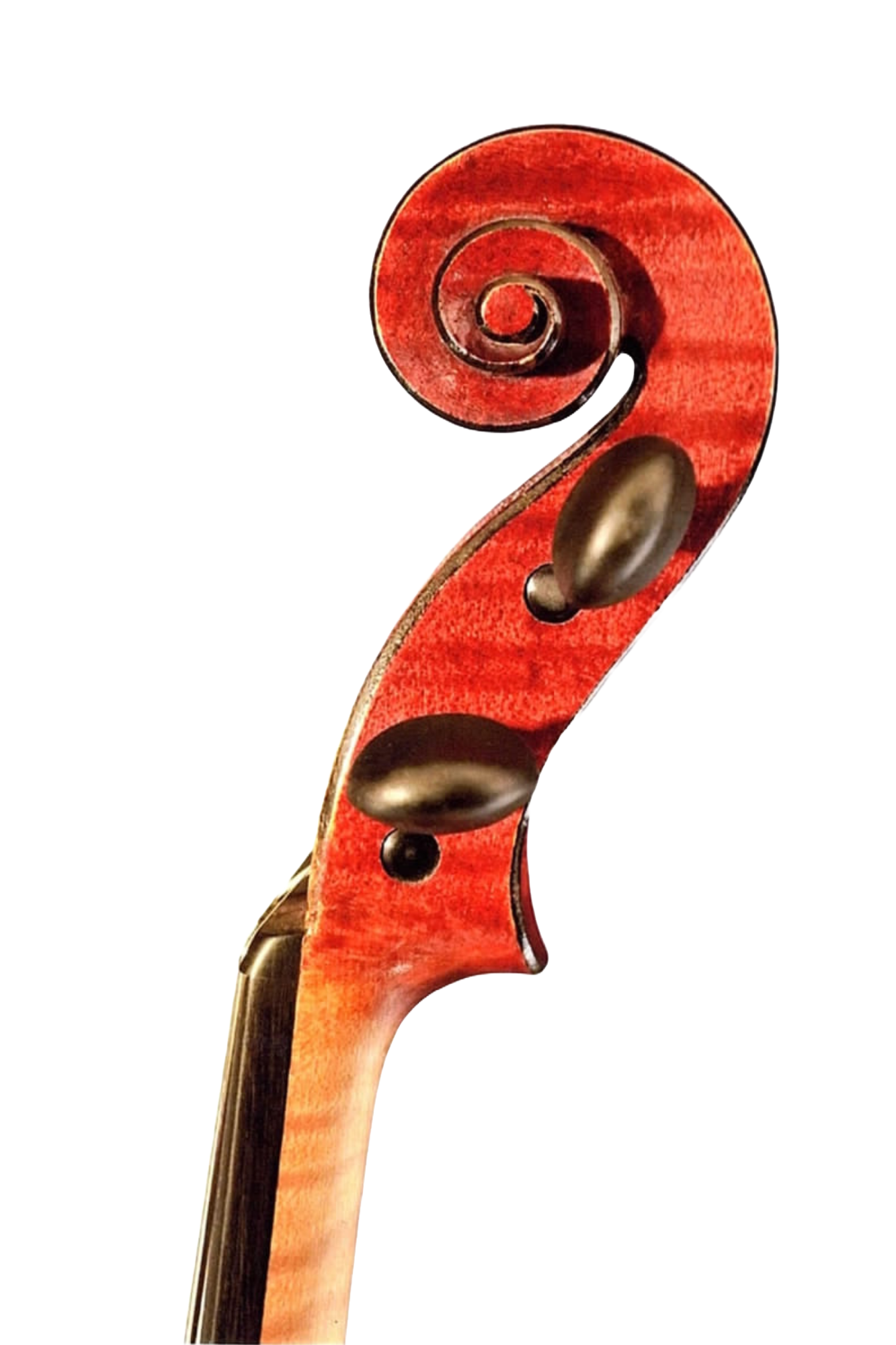 Gand& Bernardel 1884 54909S.png