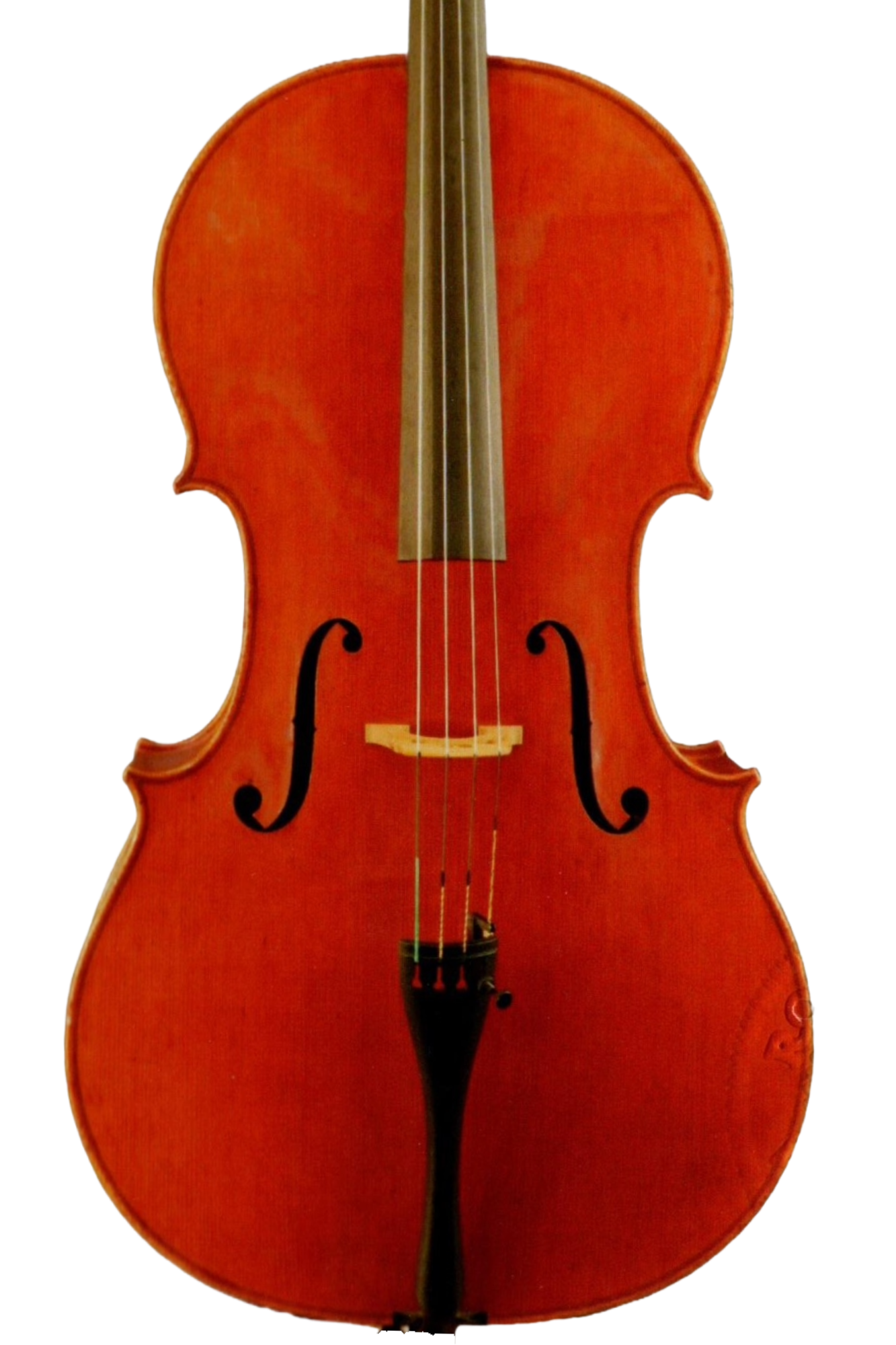 Dante Fulvio Lazzari 1985