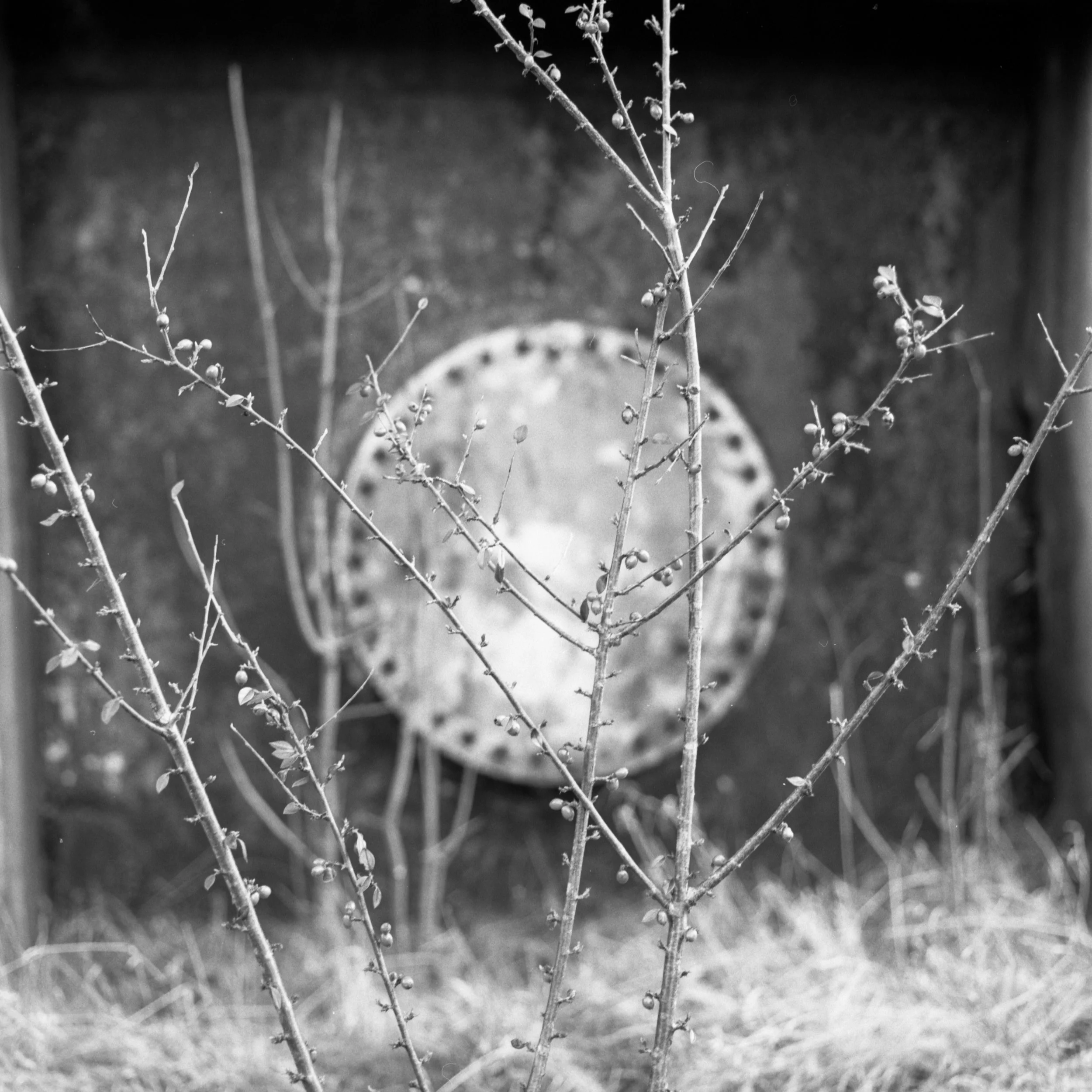 Neg2024-6007.jpg