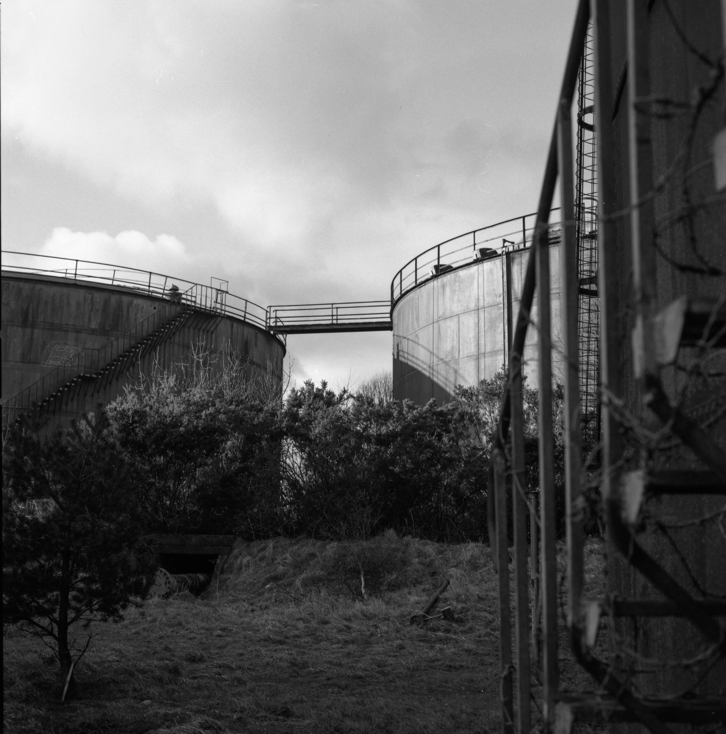 Neg2024-7011.jpg