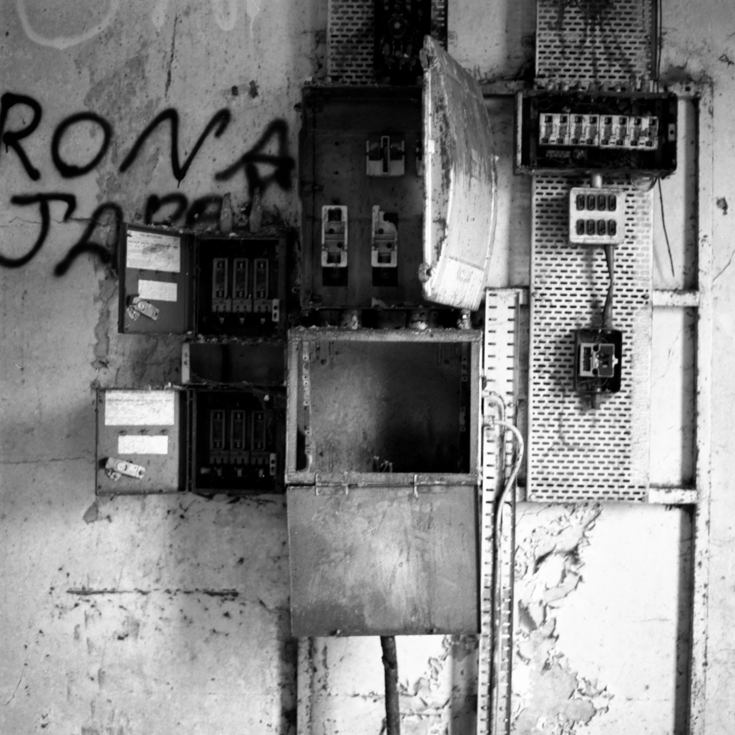 Neg2024-8010.jpg