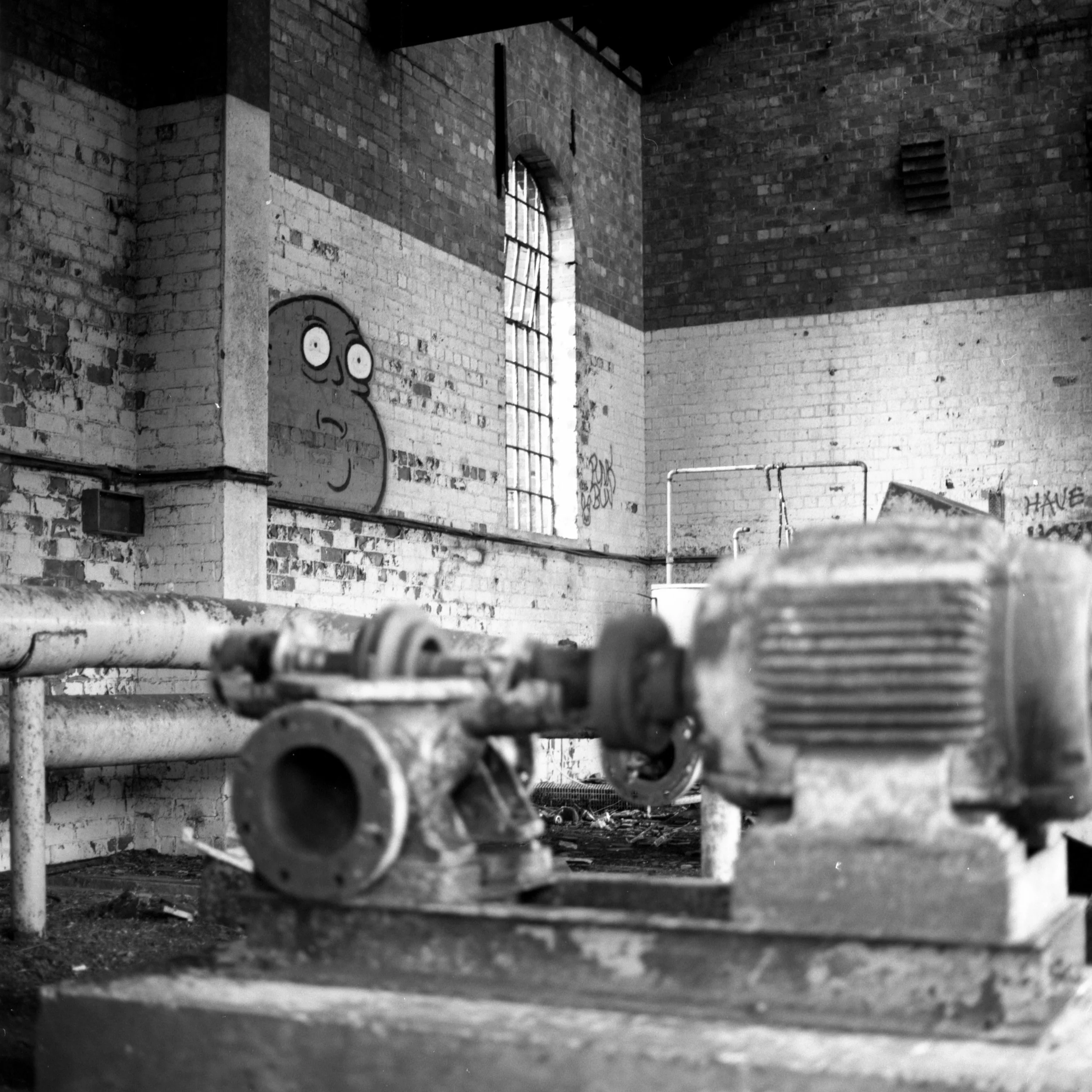 Neg2024-6008.jpg