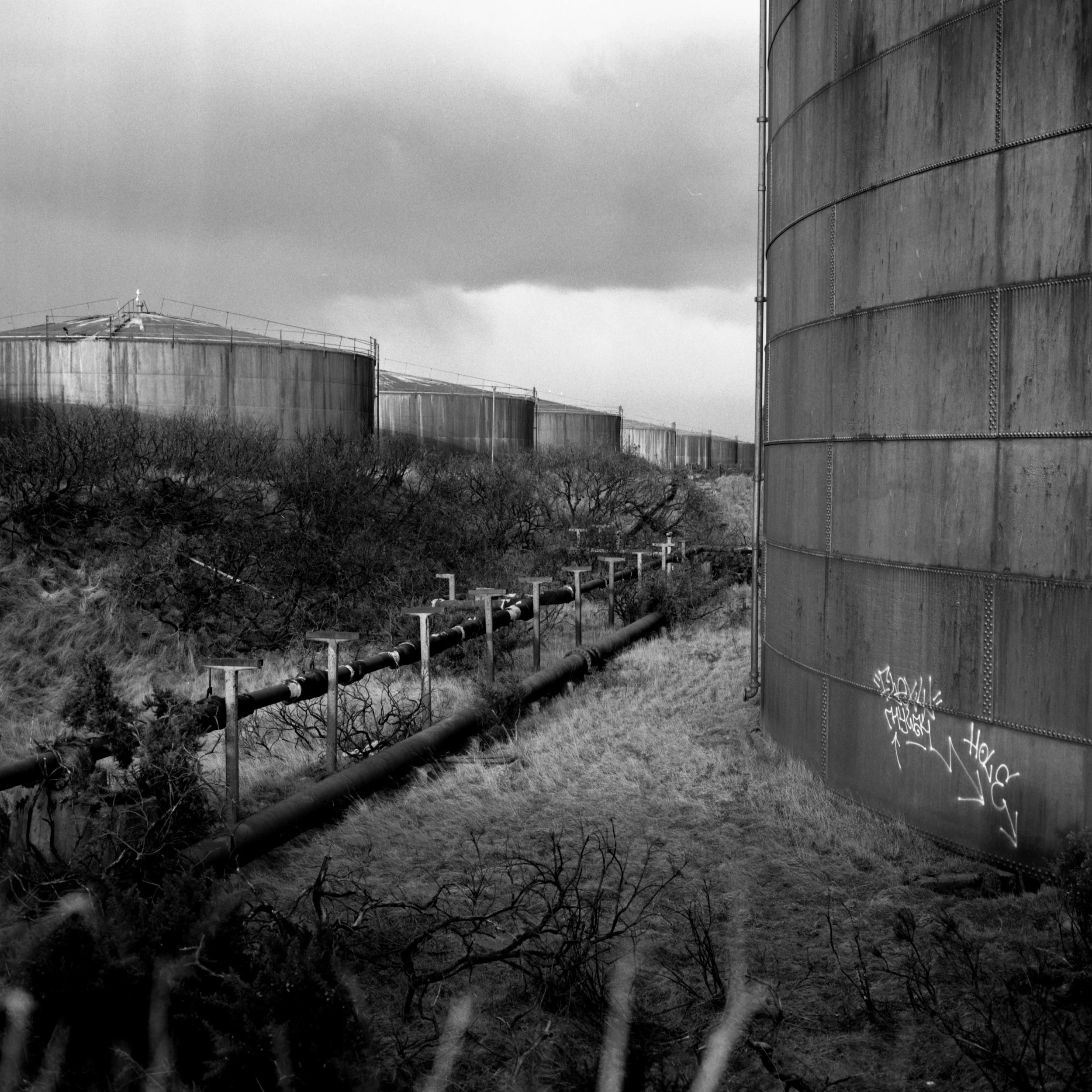 Neg2024-8001.tif_.jpg