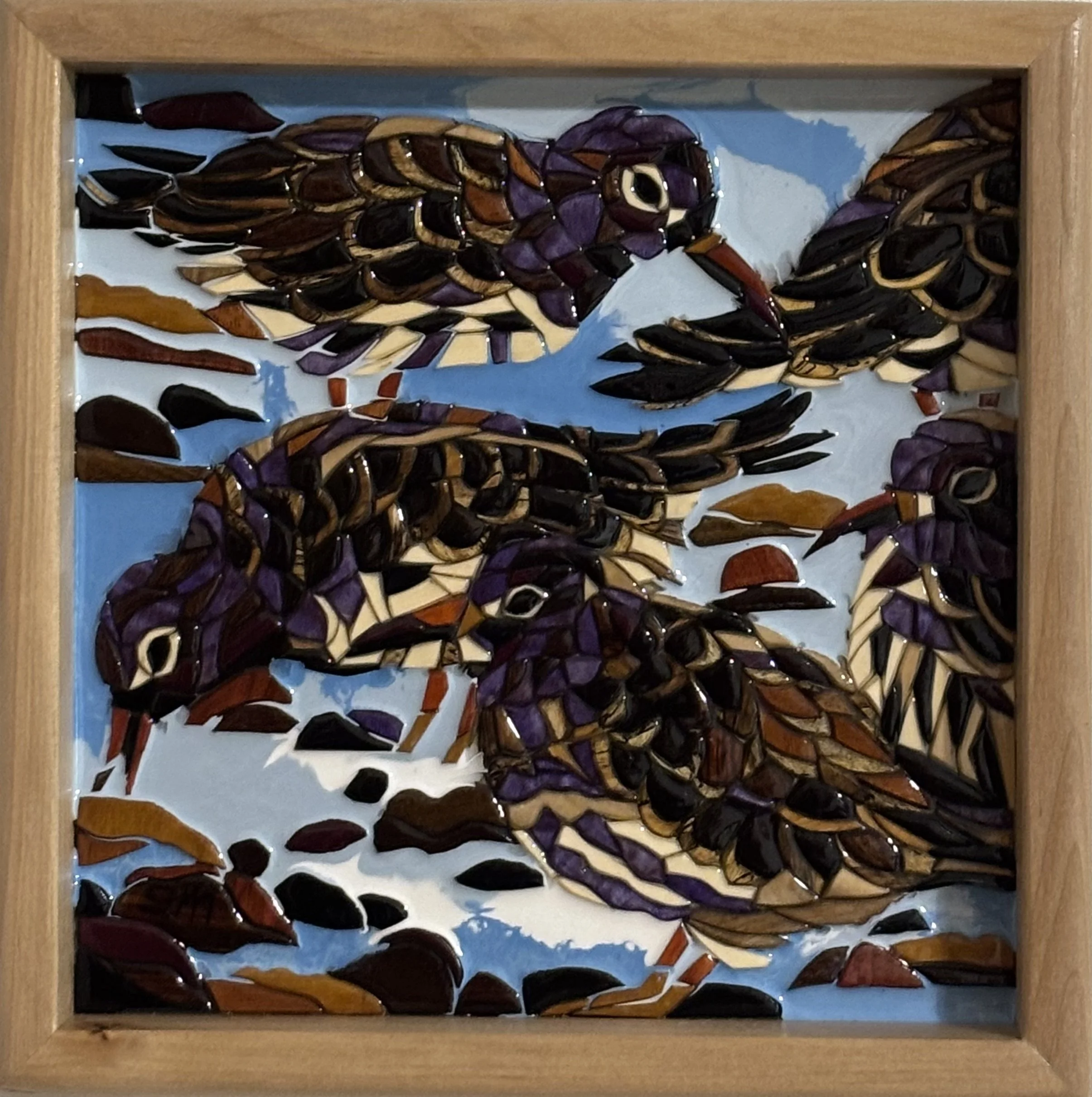 Purple Sandpipers: 11" x 11"