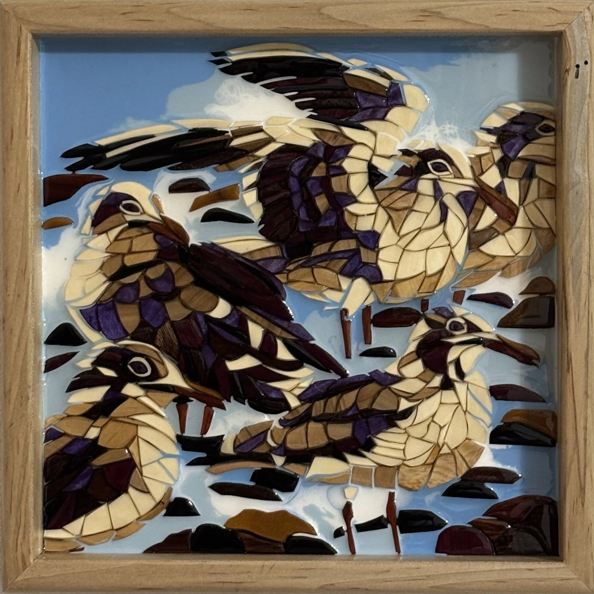 Laughing Gulls: 12" x12"
