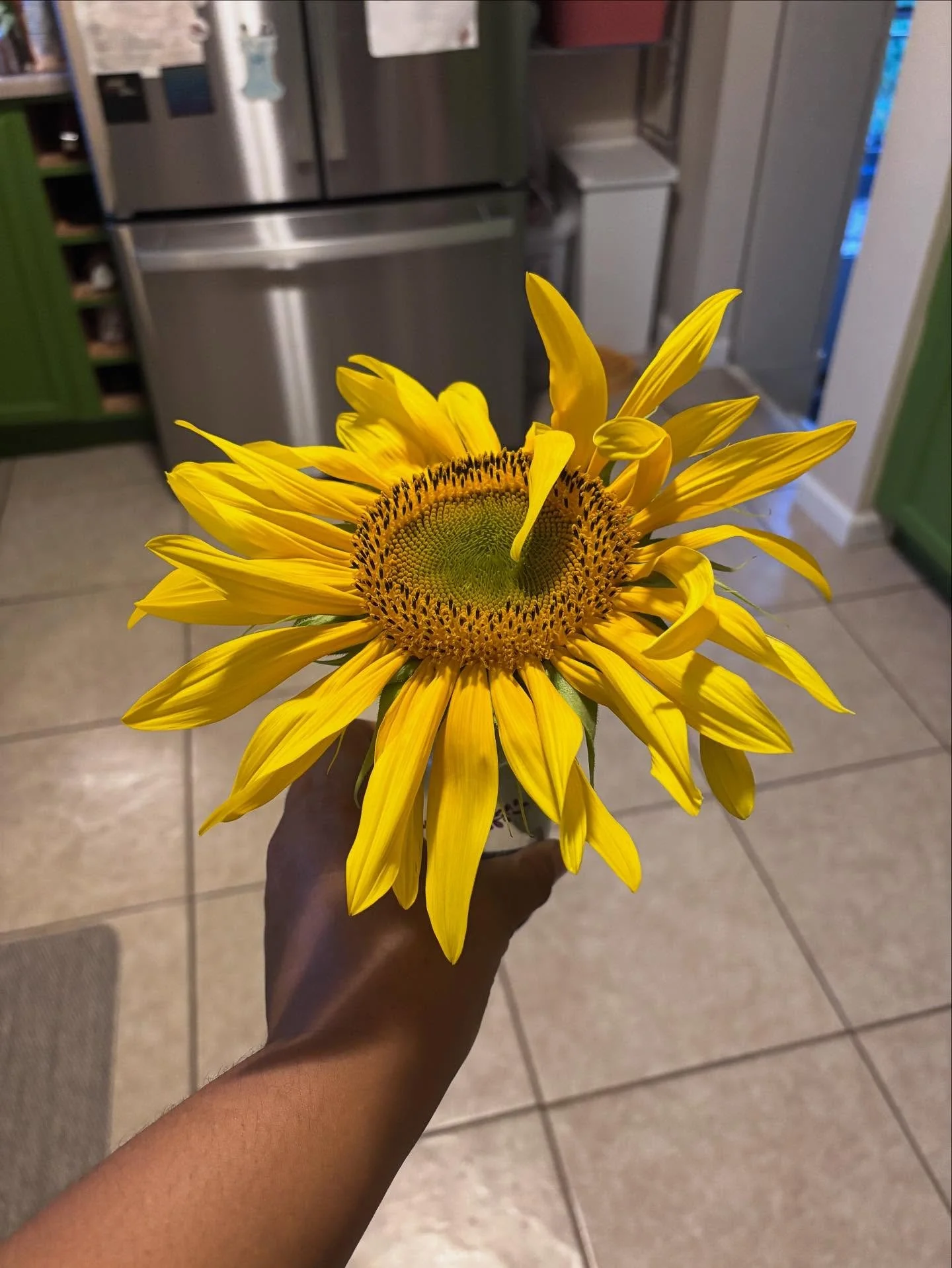 Life lately. Transitioning from summer to fall. 

I just wrapped up our summer&nbsp;Safe and Sound Protocol listening groups, ATTUNE, and got started with a new crew of awesome mixed folks for&nbsp;Belonging Building Blocks which I&rsquo;ll share mor