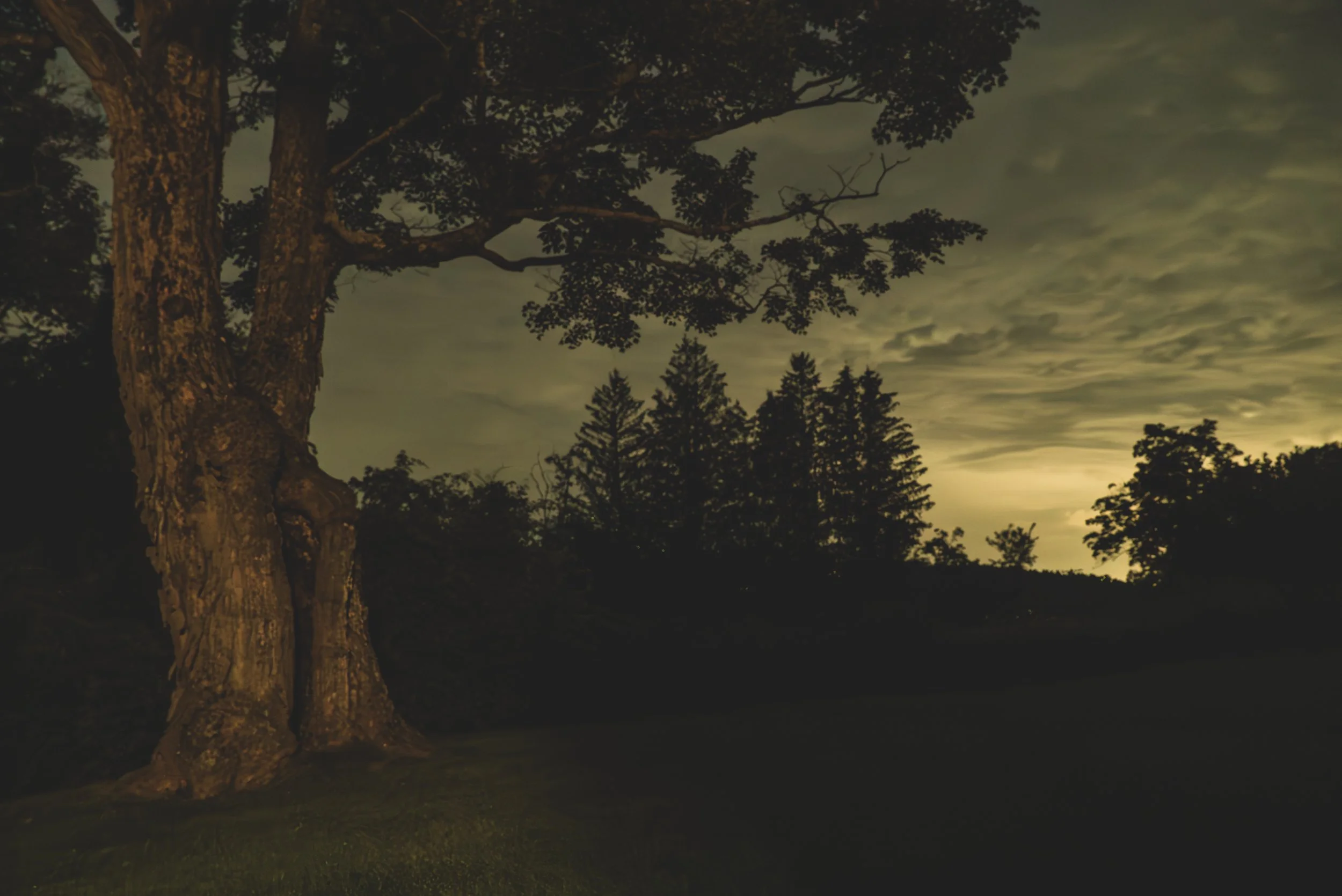summer sky -2.jpg