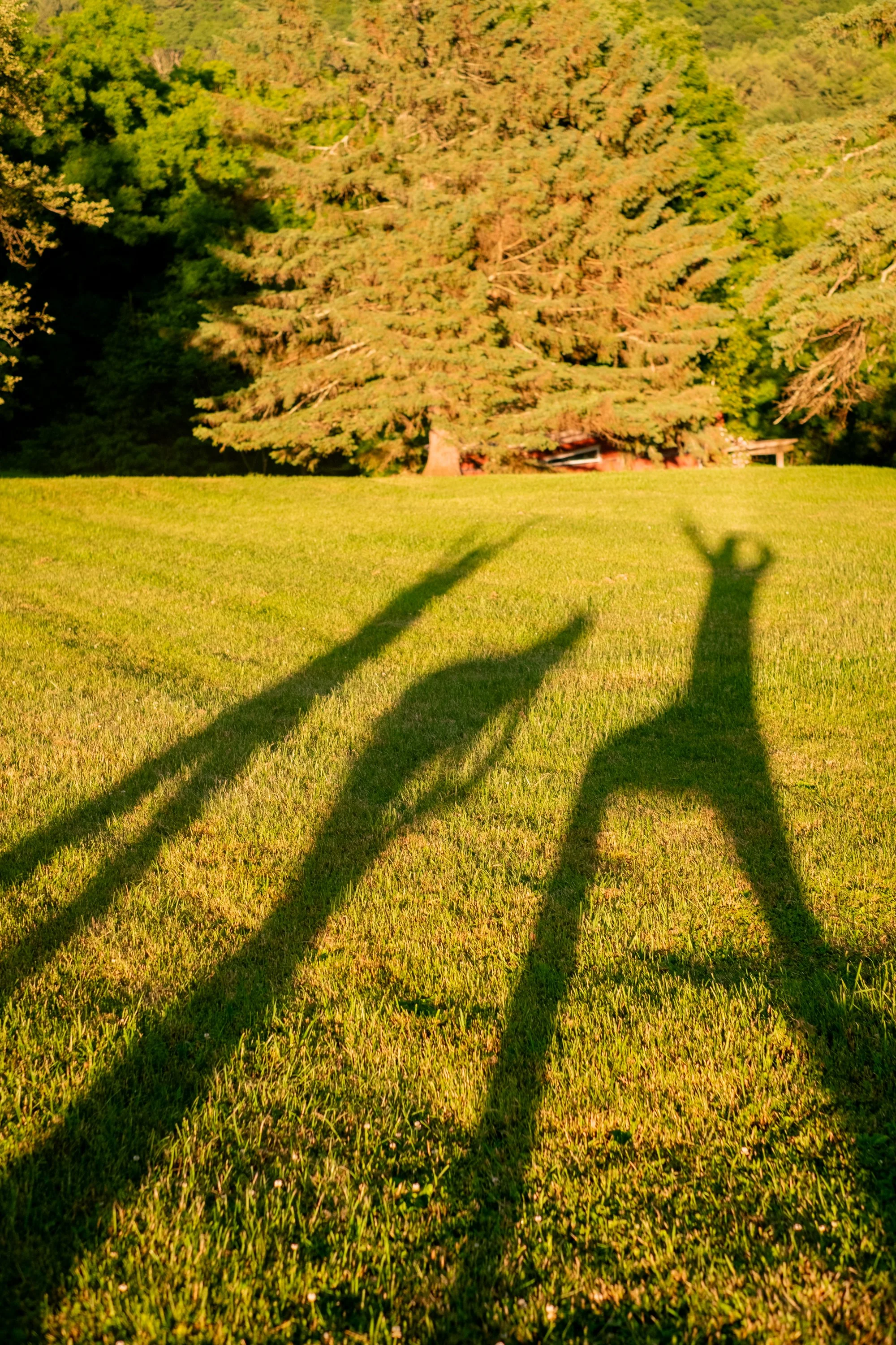 shadows-15.jpg
