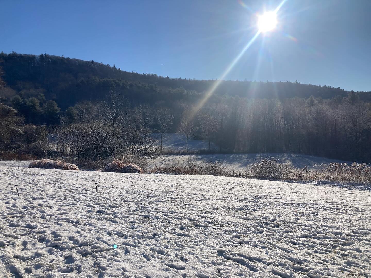 First snow came early this year! Hello winter.❄️