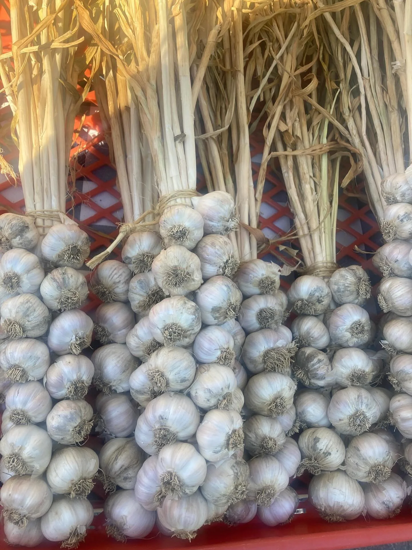 This is our version of abundance.