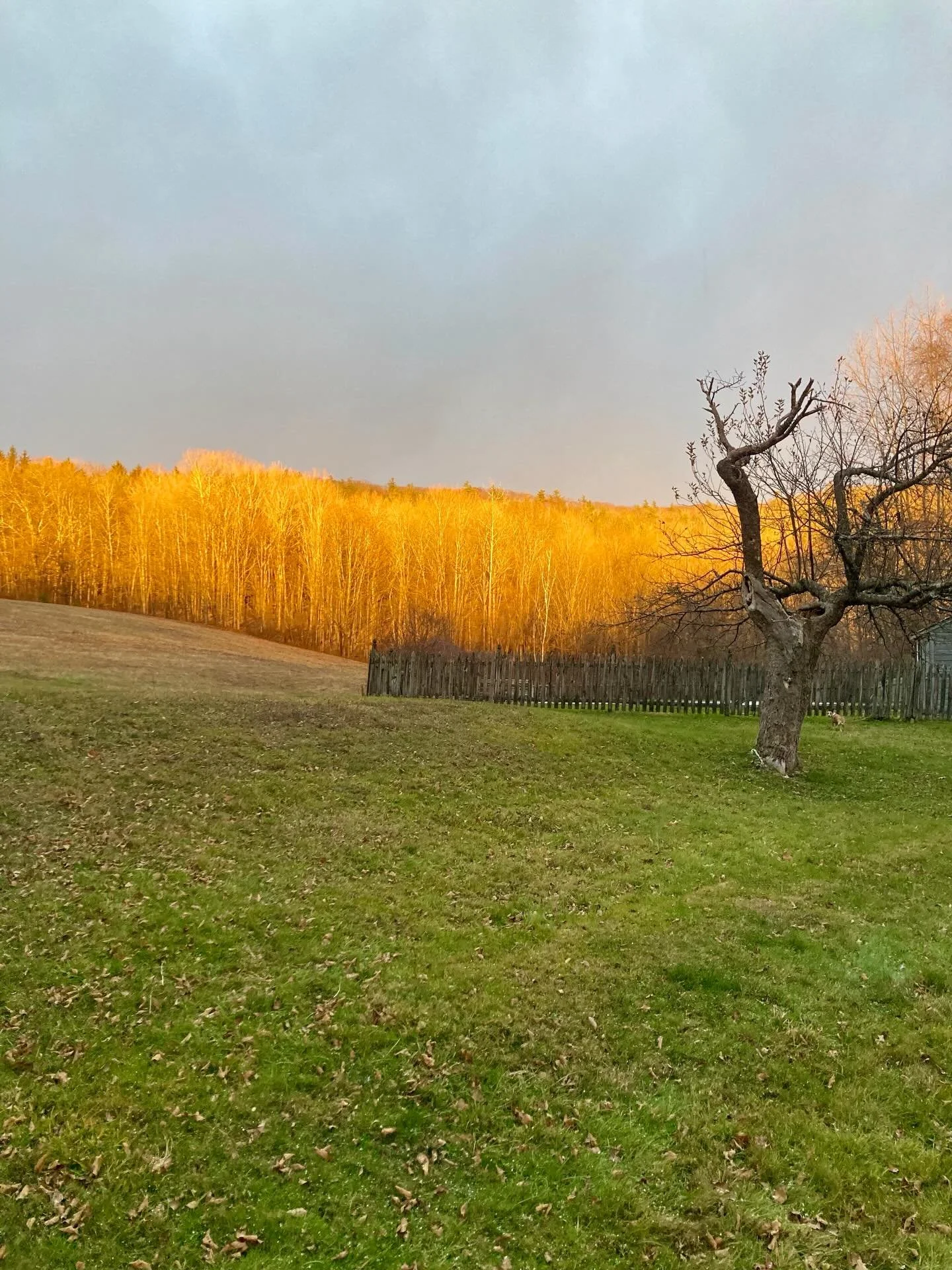Let your mind get quiet beneath the winter night sky at Follette Farm. Come sleep deeply with us.

Link to book in the bio.

#wintergetaway #cozystay #farmstay #cabinlife #airbnb #vacationrental #getaway #staycation #travelgram #naturelovers #country