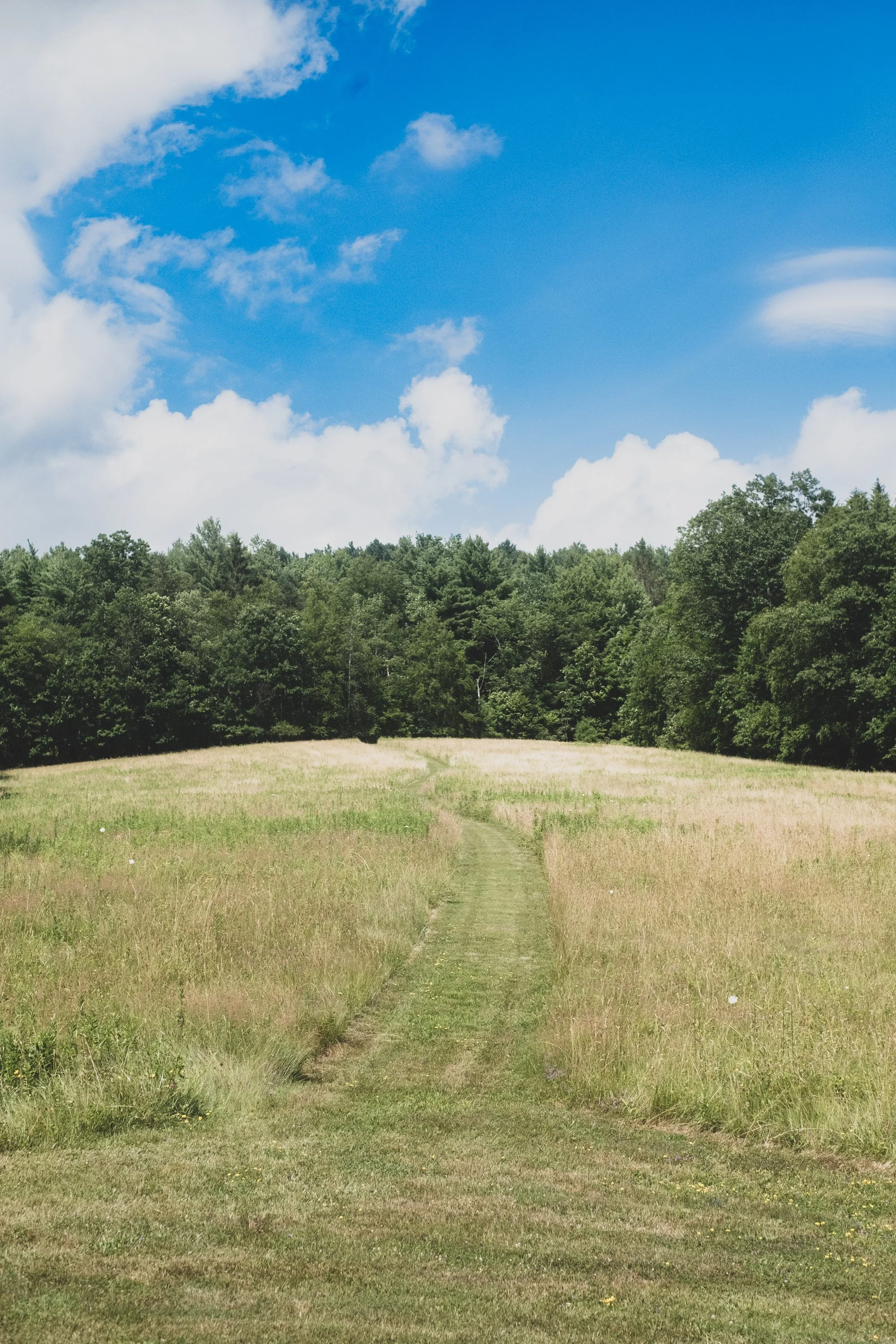 follette farms socials -5.jpg
