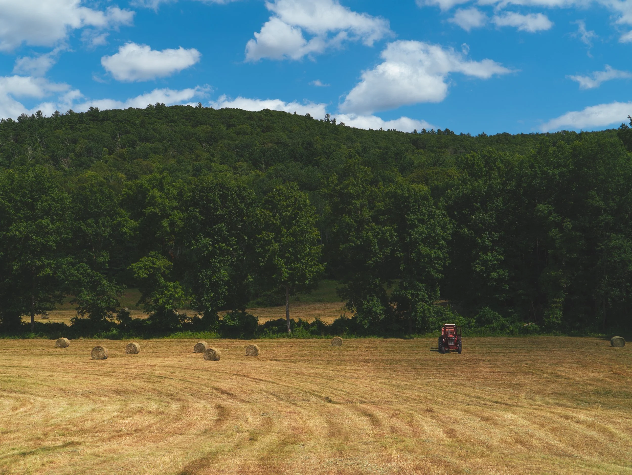 follette farms socials -9.jpg
