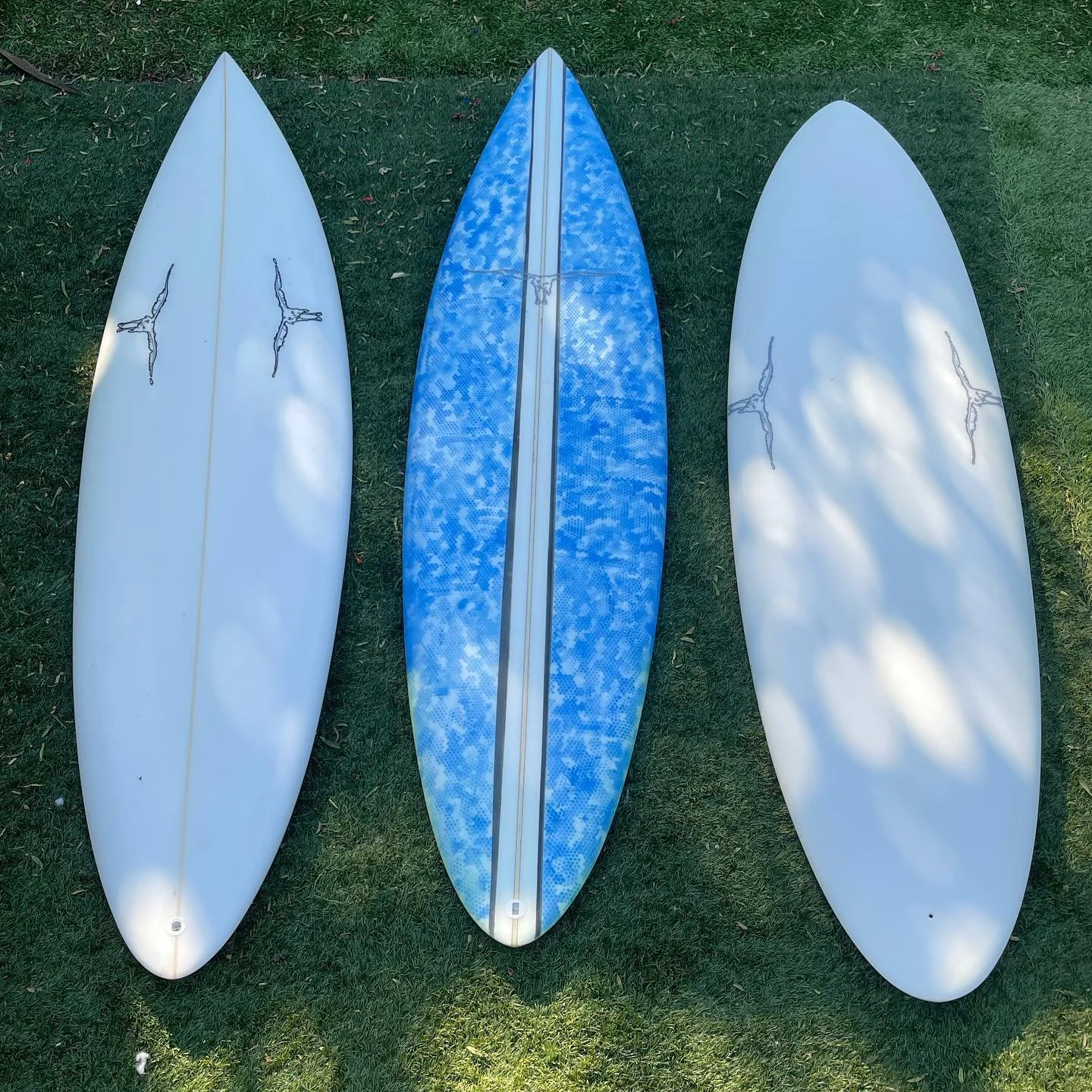 Three little birds ready to fly! 💨