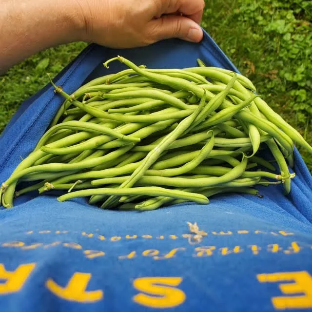 And string beans+ π±πππΌ