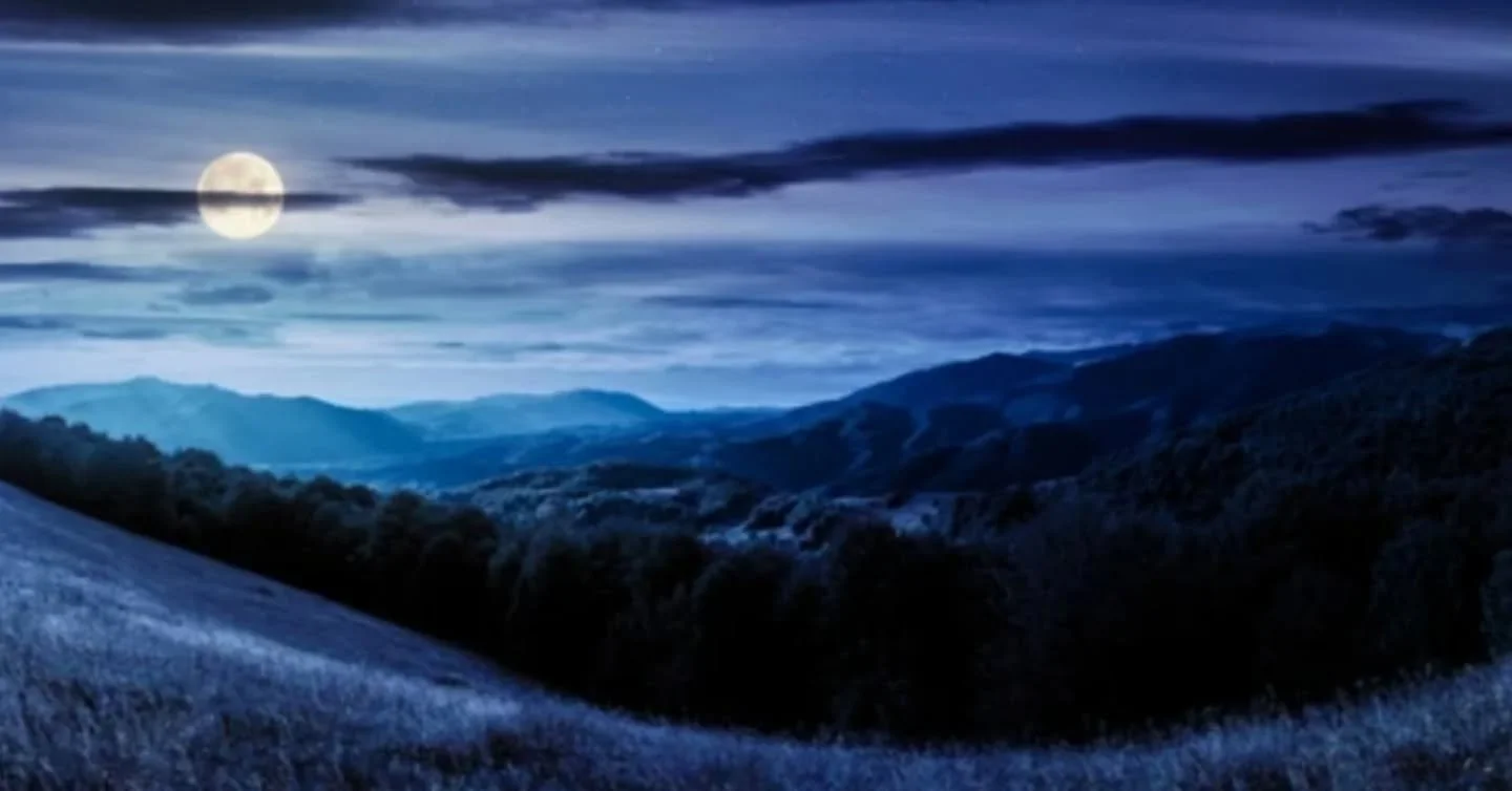 The Valley of My Resting Heartbeat

the full circle of my life finds me outwardly busy
while my soul drifts into a soft valley of my own resting heartbeat.

at the bottom of the valley lies a bed of fallen dreams, broken promises and buried memories.