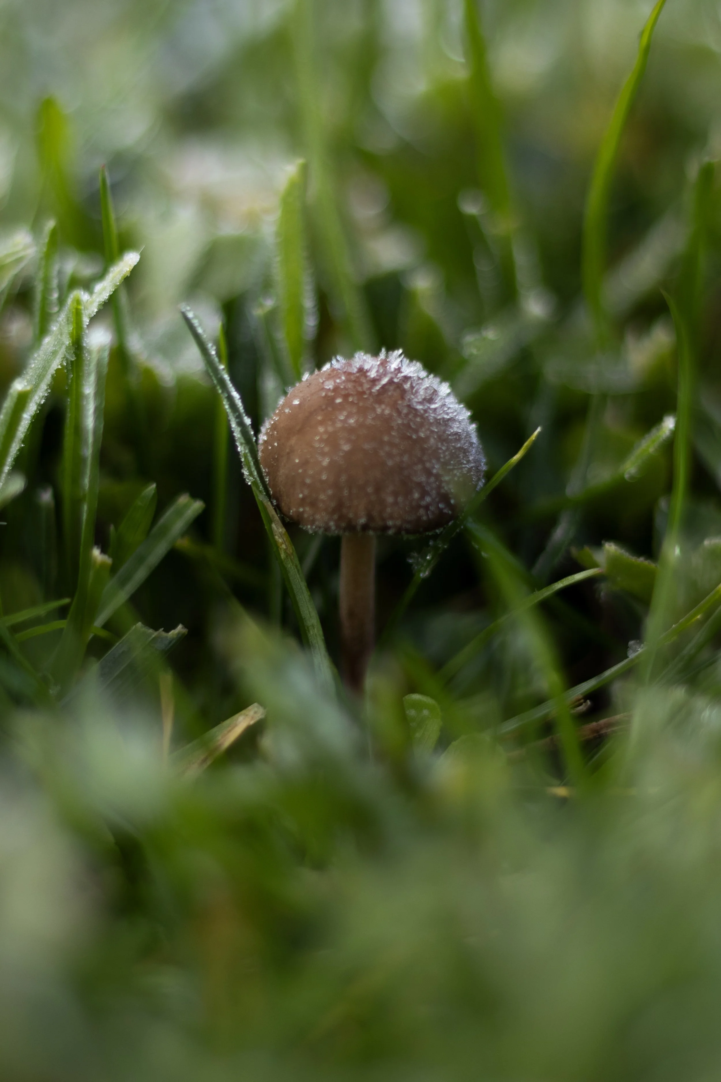 16-IMG_7279.jpg