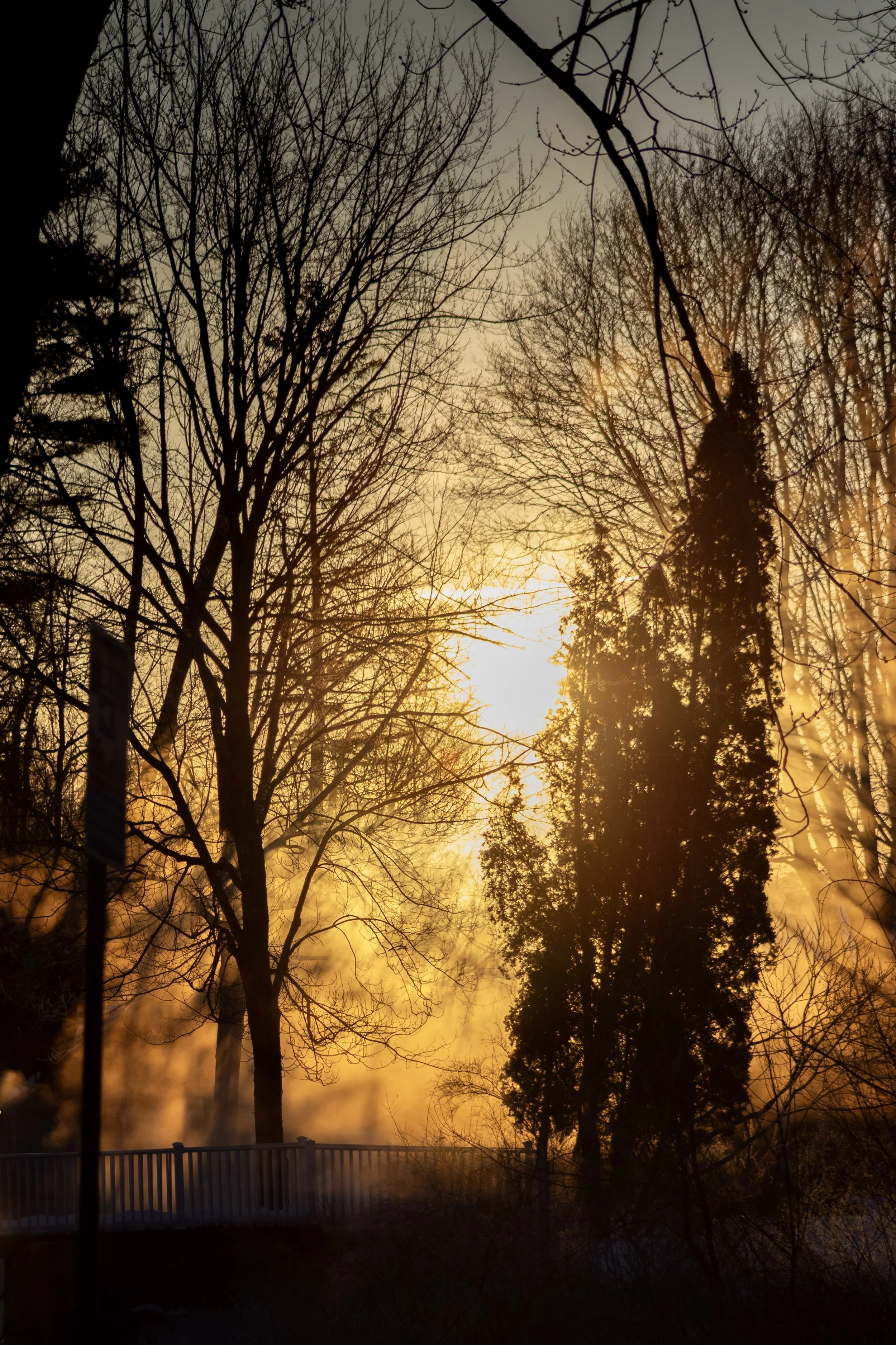 14-IMG_8885.jpg