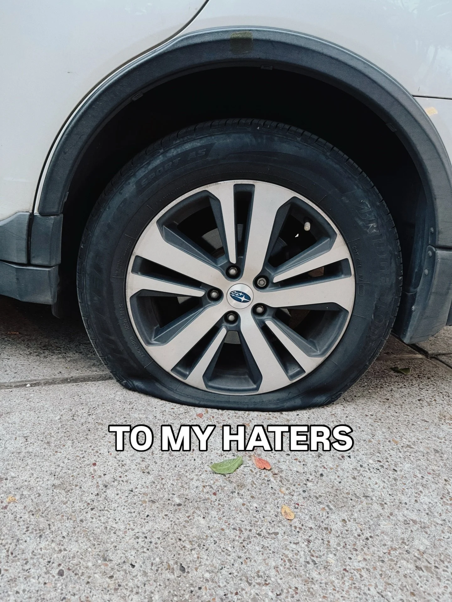 Good morning 😘 I&rsquo;m back up &amp; running at @littledreamercoffee today from 10-2PM. New stock of slammin&rsquo; vintage records! Come get a unique gift for someone you dig 🎄1953 Montrose 🏳️&zwj;🌈