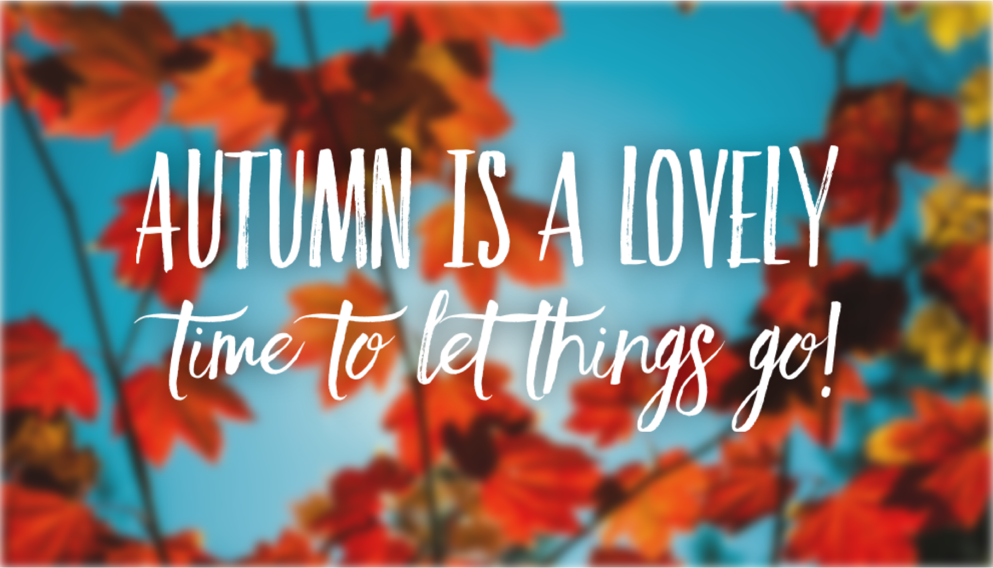 The gentle pause of autumn: A season for letting go and leaning in