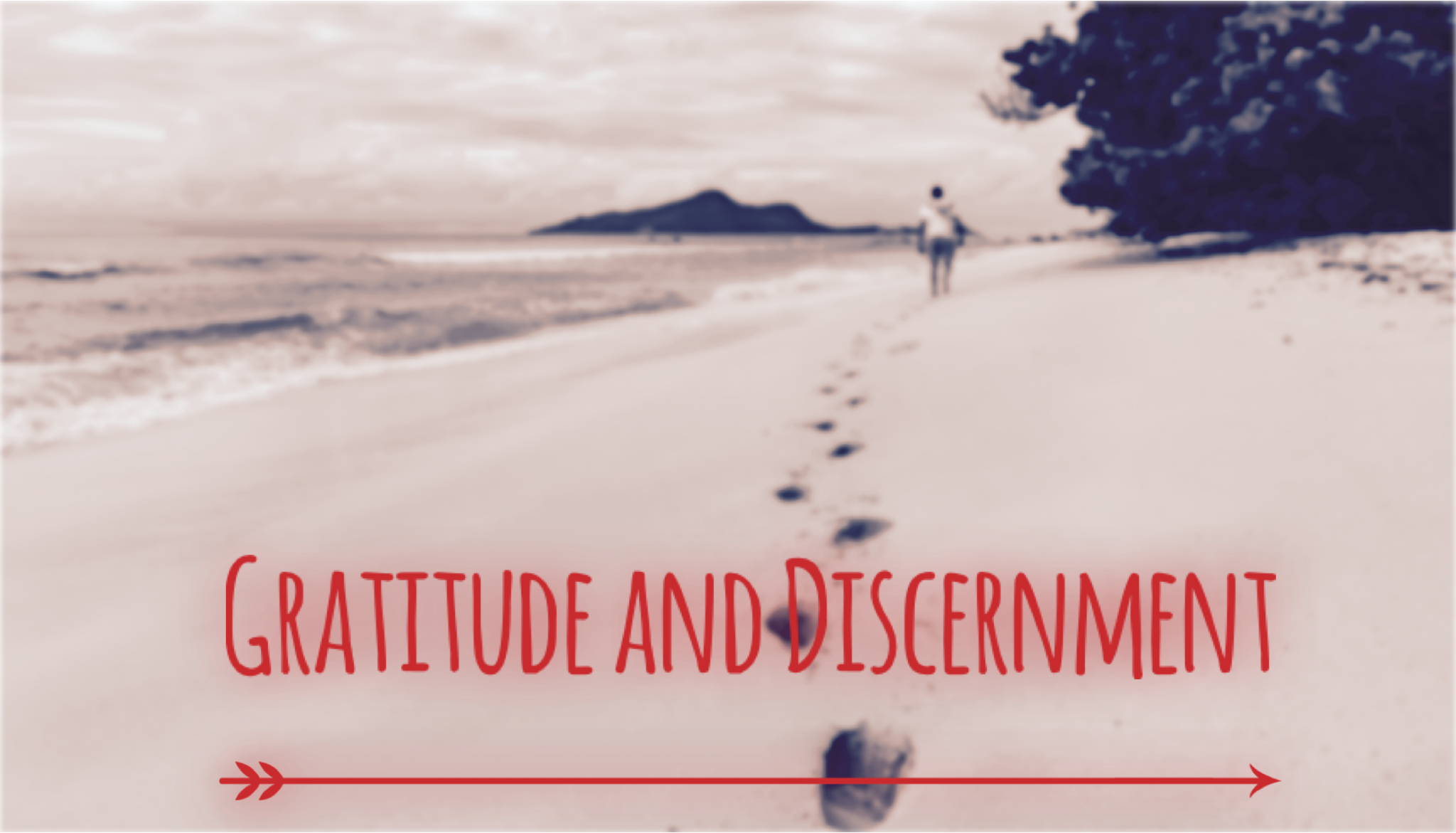 ✨ Gratitude and discernment ✨