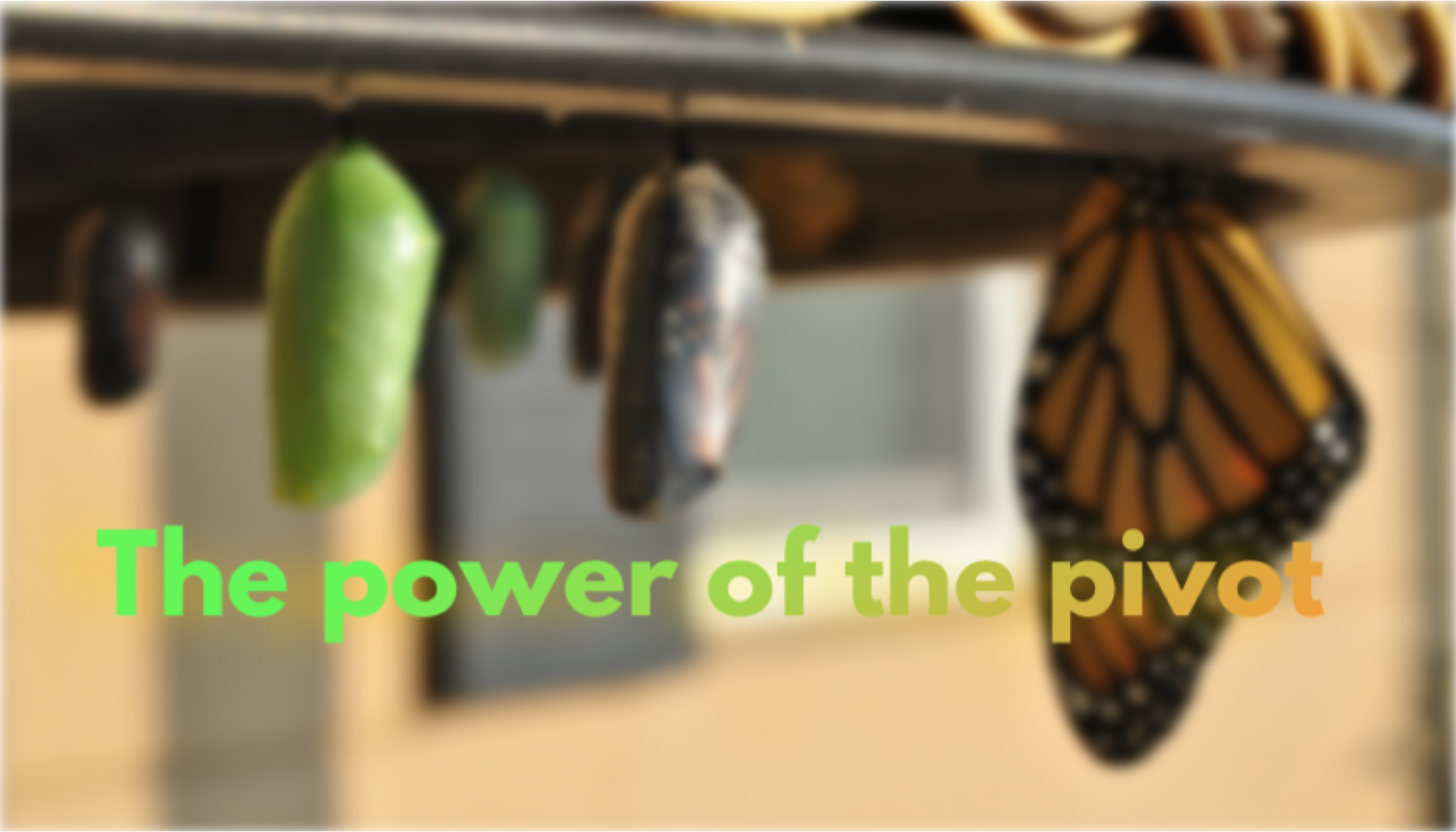 metamorphosis of caterpillar to butterfly with words “The power of the pivot”