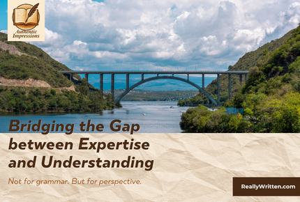 Two cliffs connected by a bridge with the title "Bridging the Gap between Expertise and Understanding" overlayed